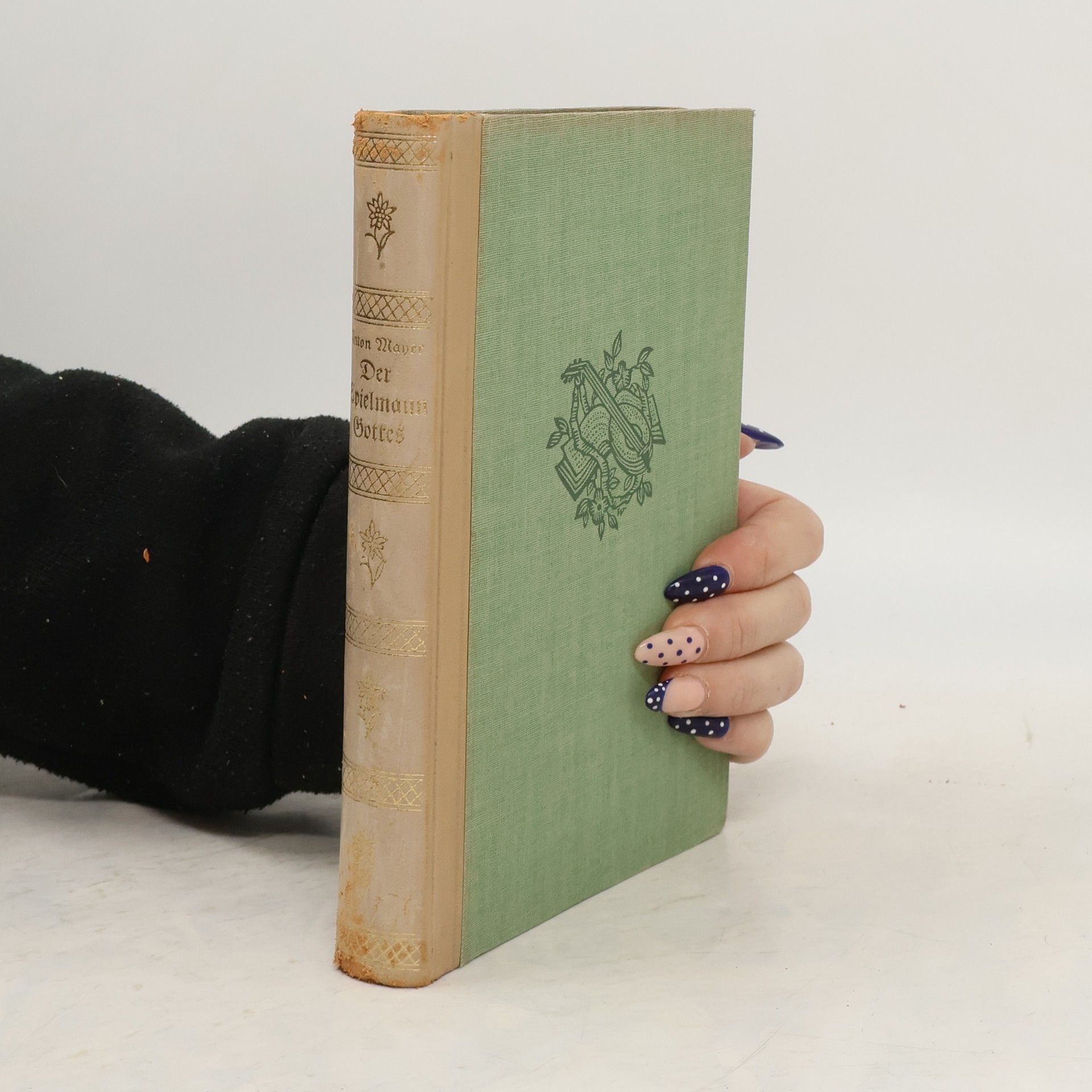 Anton Mayer Der Spielmann Gottes