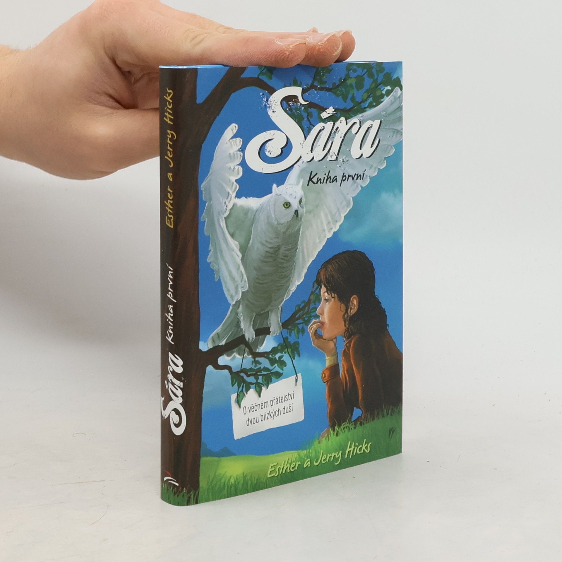 Esther Hicks Sára. Kniha první, O věčném přátelství dvou blízkých duší