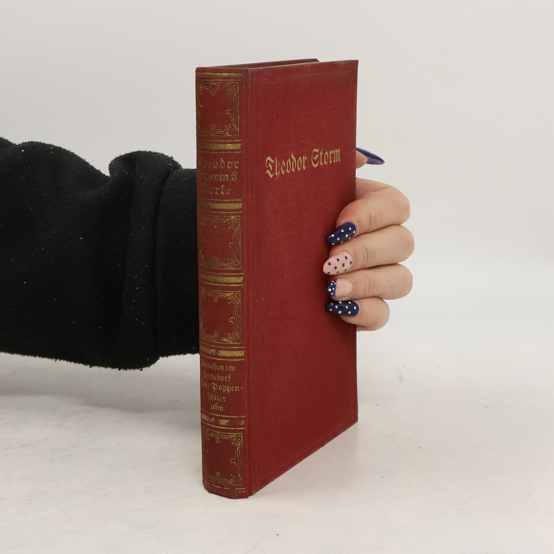 Theodor Storms Werke
