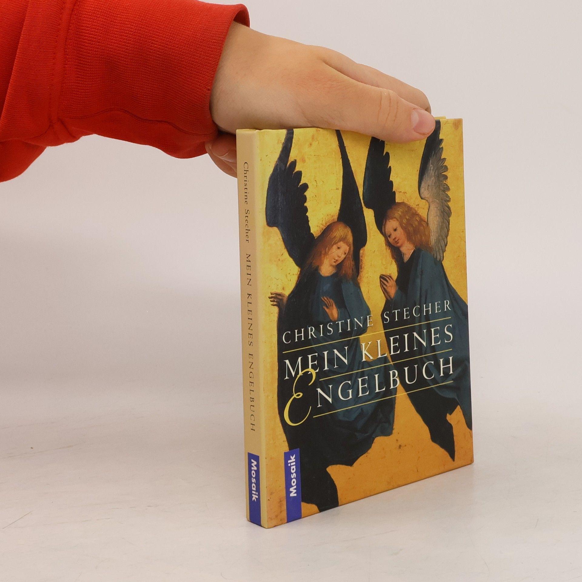 Christine Stecher Mein kleines Engelbuch
