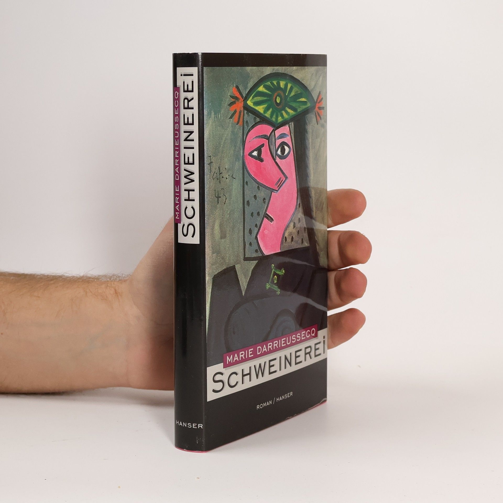 Marie Darrieussecq Schweinerei