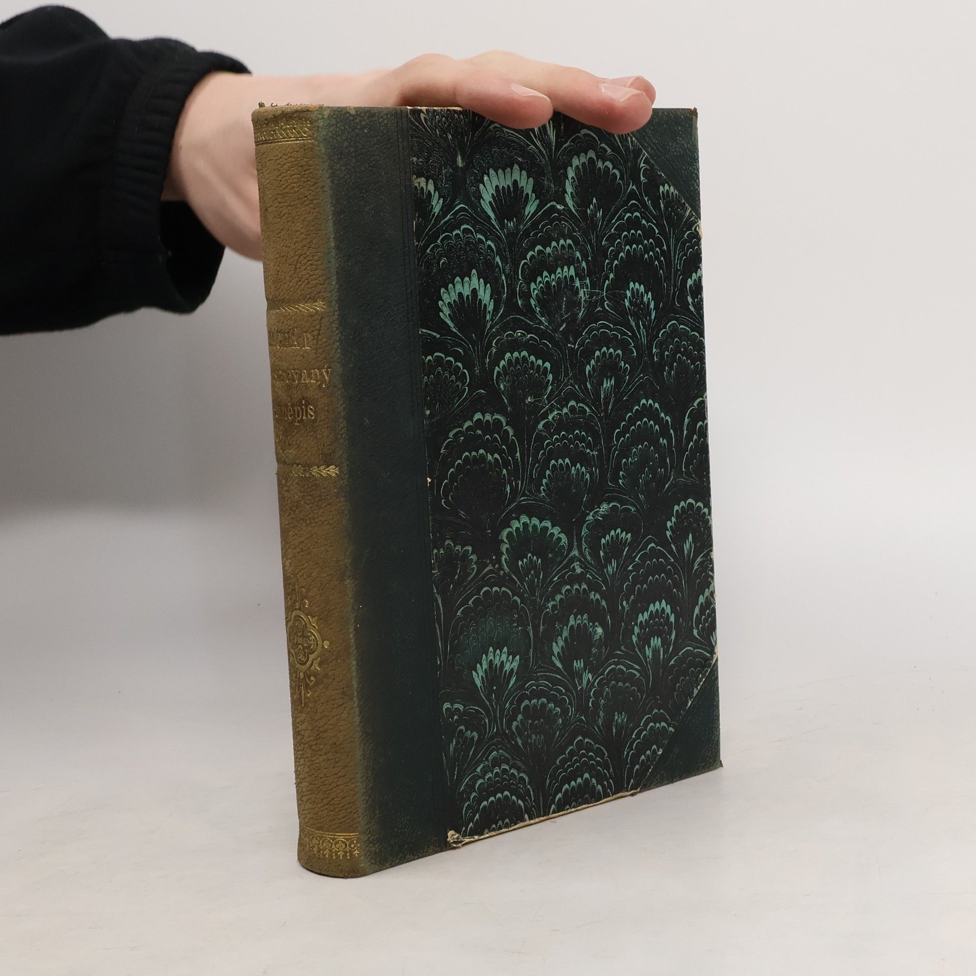 Frant. Machát Illustrovaný zeměpis všech dílů světa