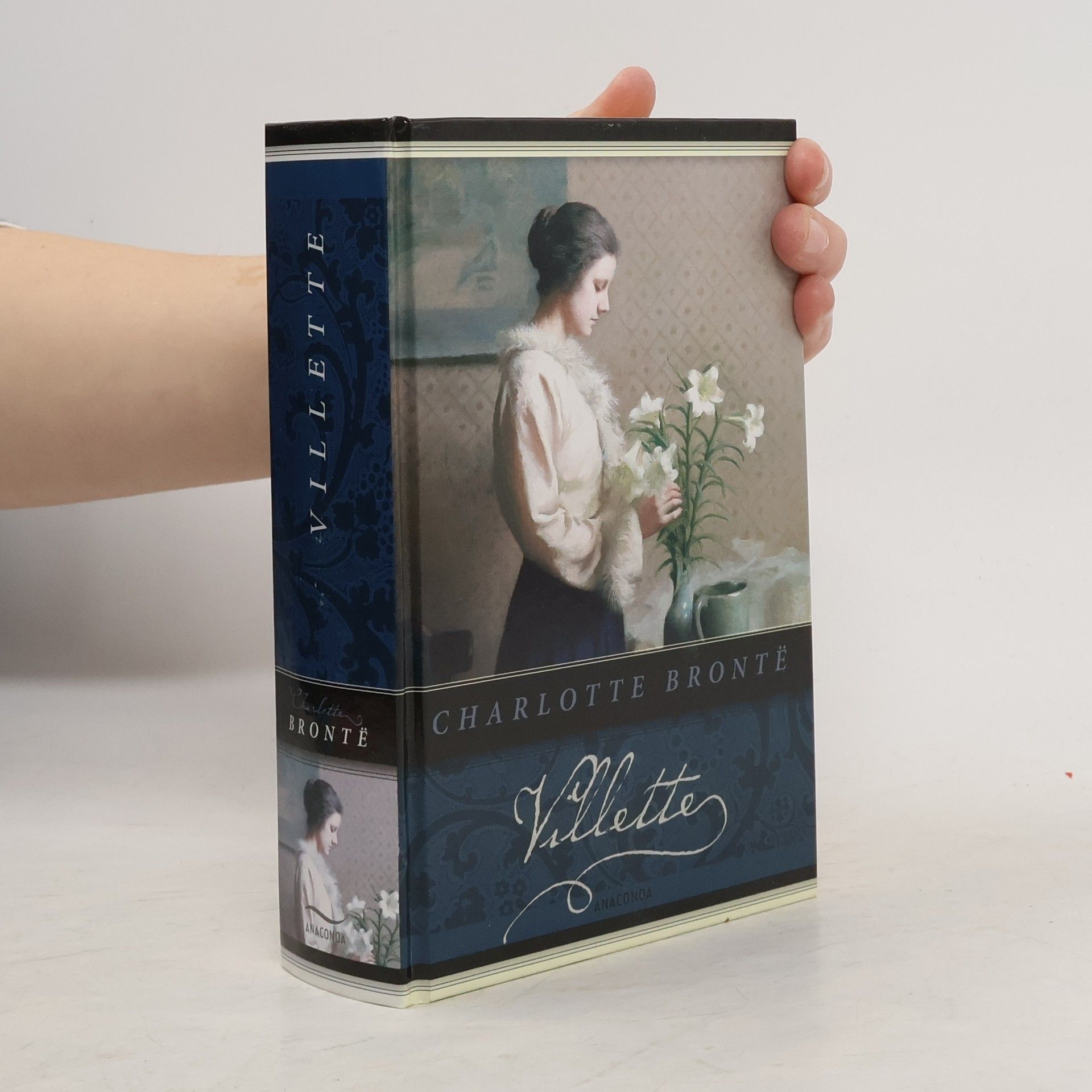 Charlotte Brontë Villette