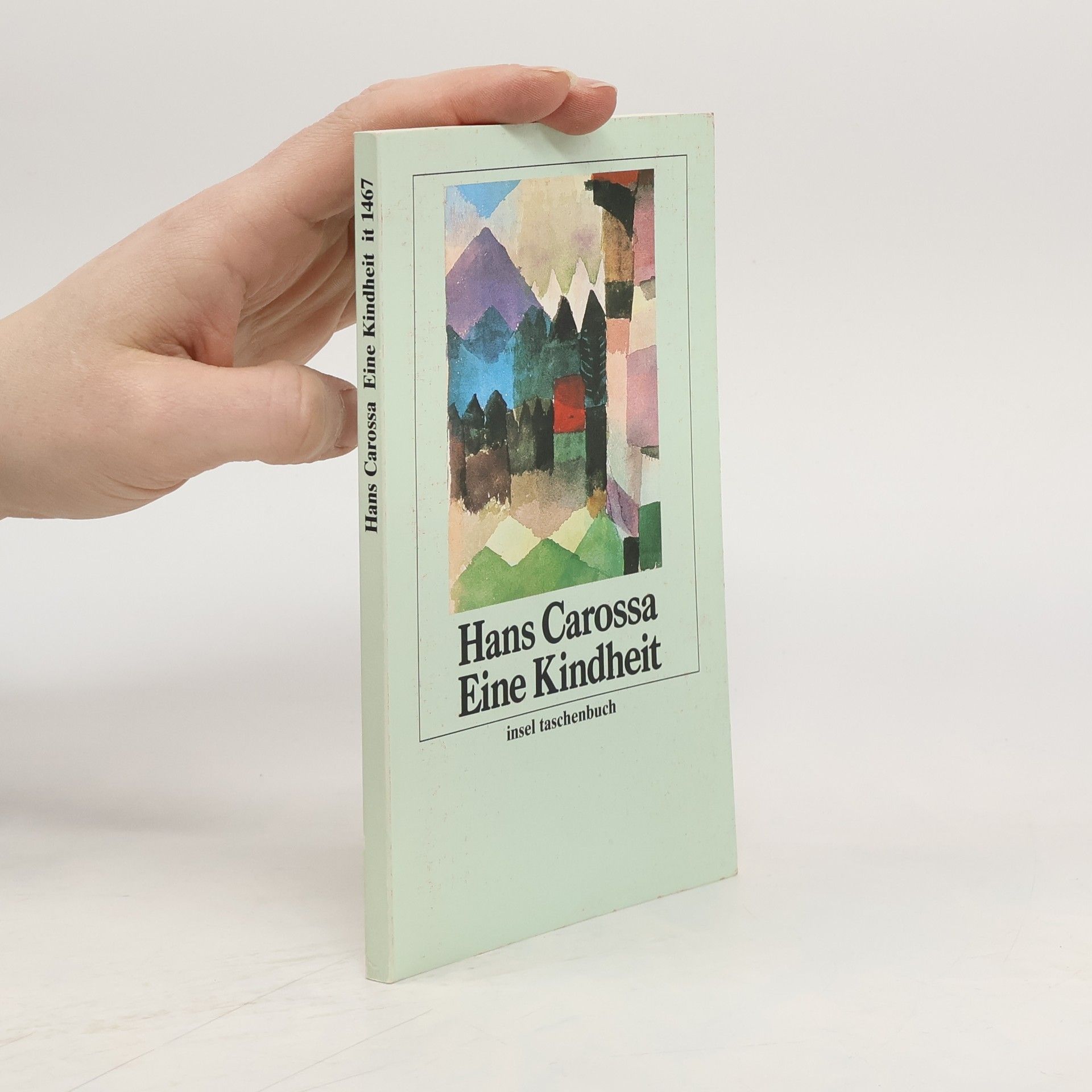 Insel Taschenbuch - 1467: Eine Kindheit