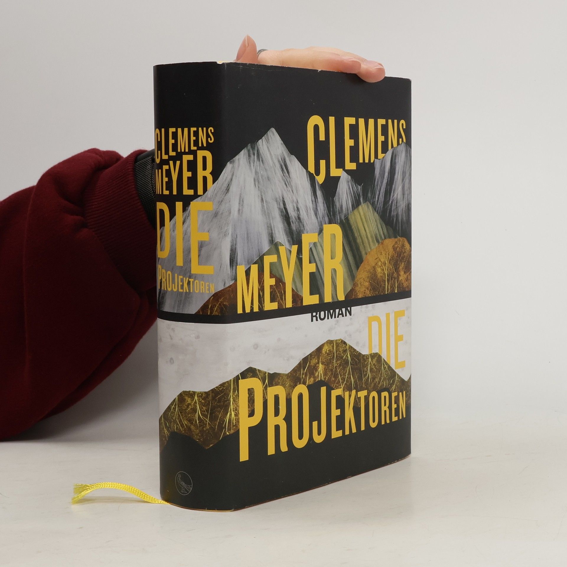 Clemens Meyer Die Projektoren