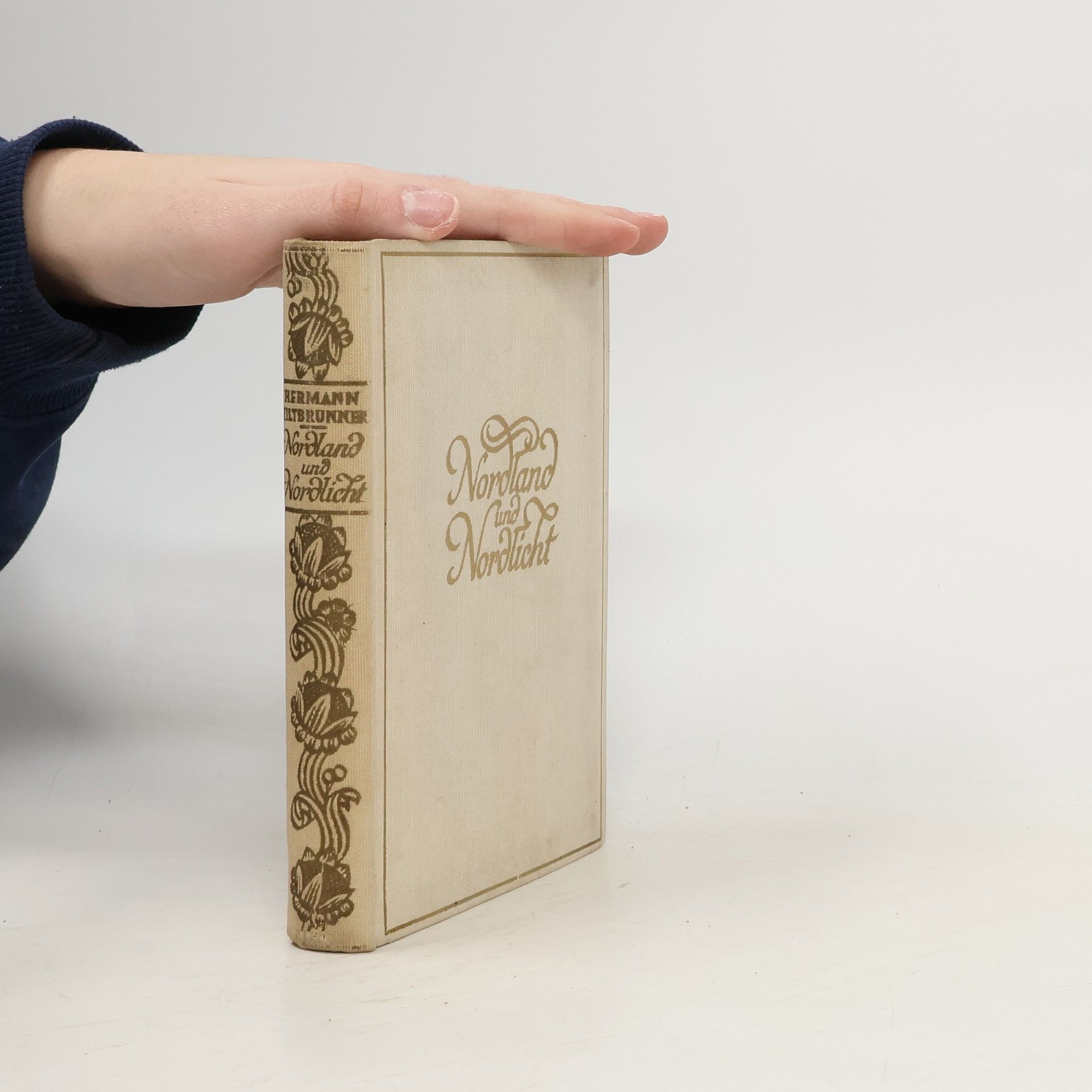 Nordland und Nordlicht