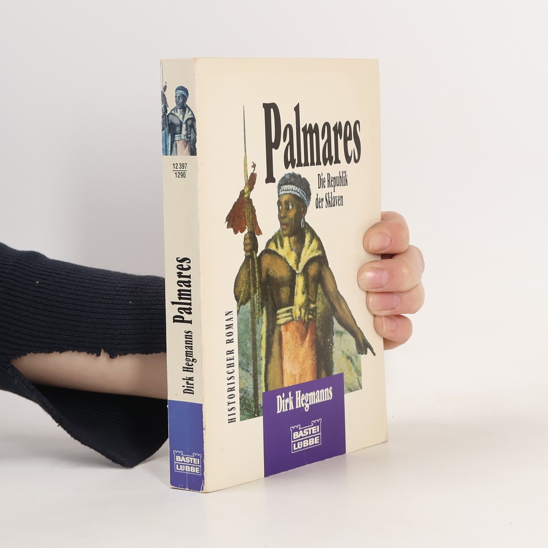 Dirk Hegmanns Palmares