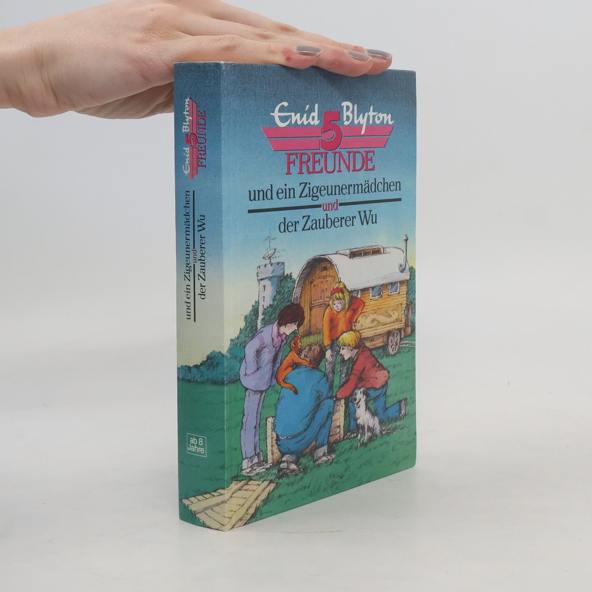 Enid Blyton 5 Freunde und ein Zigeunermädchen und der Zauberer Wu