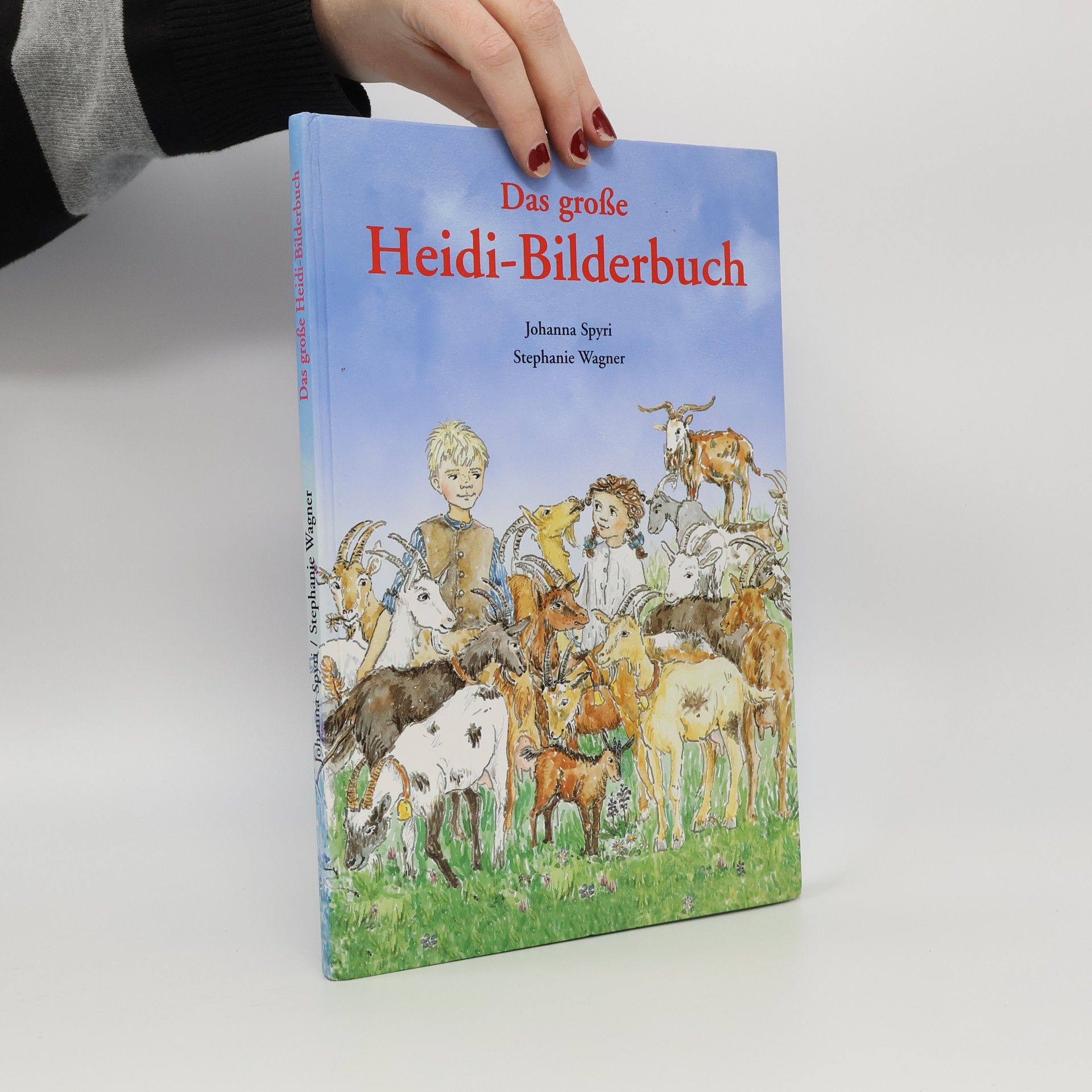 Das große Heidi-Bilderbuch