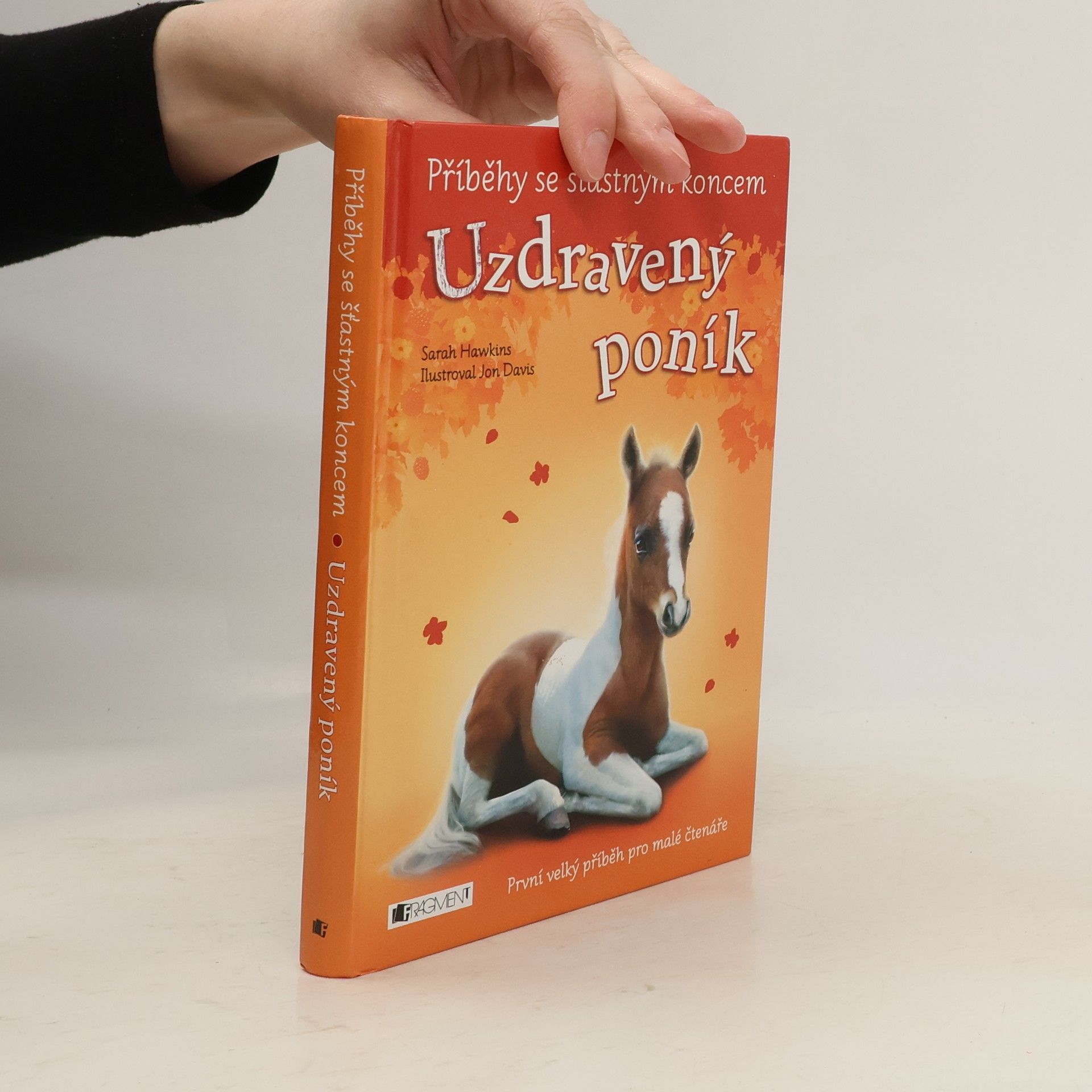 Eva Brožová Uzdravený poník