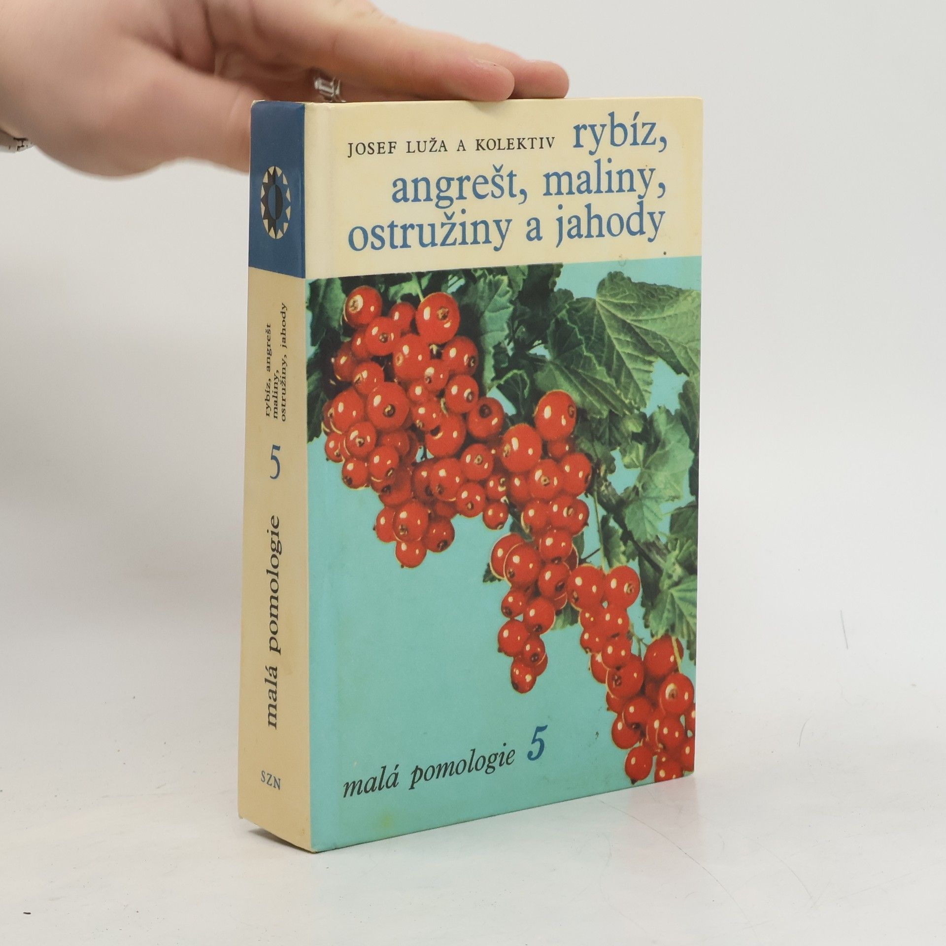 Malá pomologie 5. Rybíz, angrešt, maliny, ostružiny a jahody