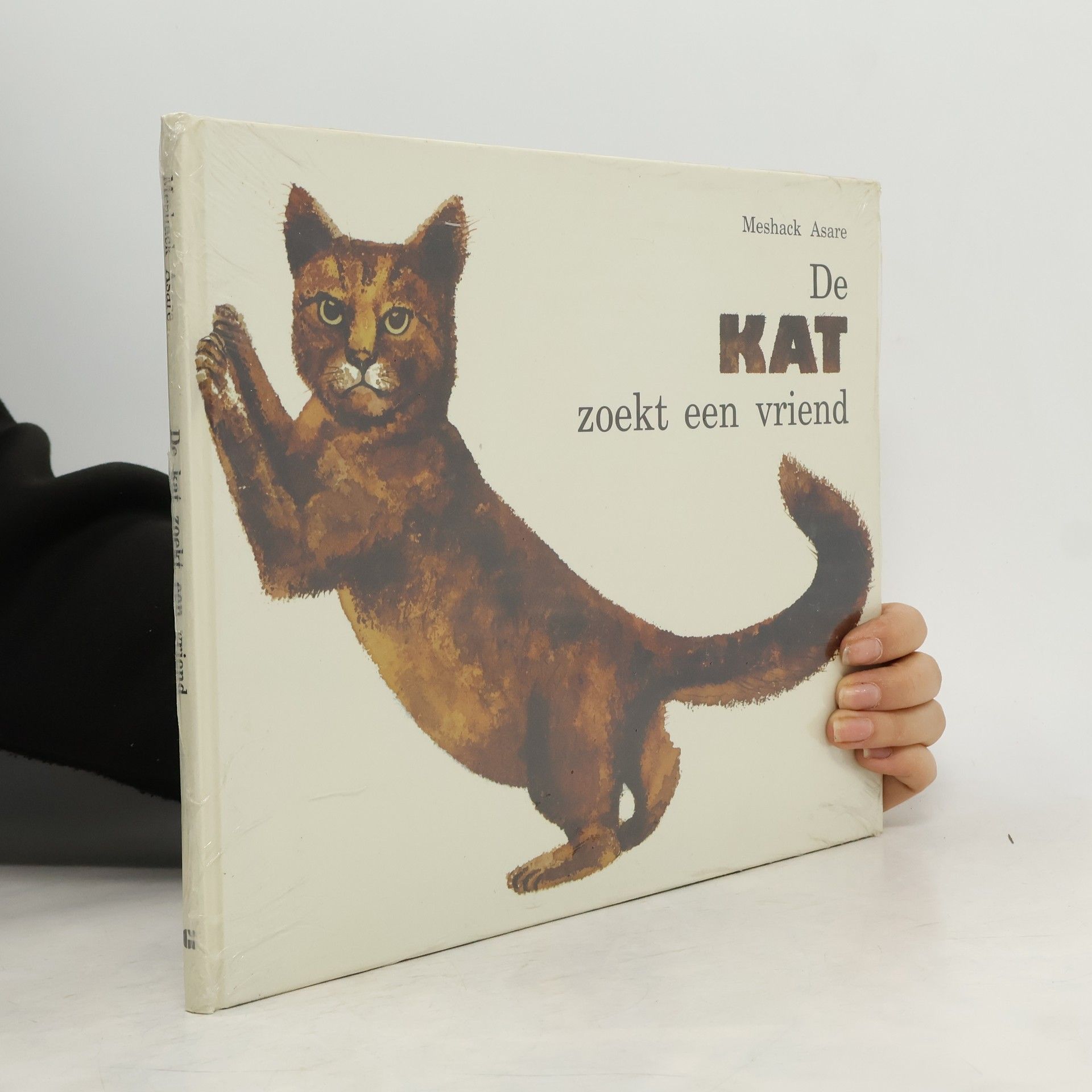 Meshaack Asare De kat zoekt een vriend
