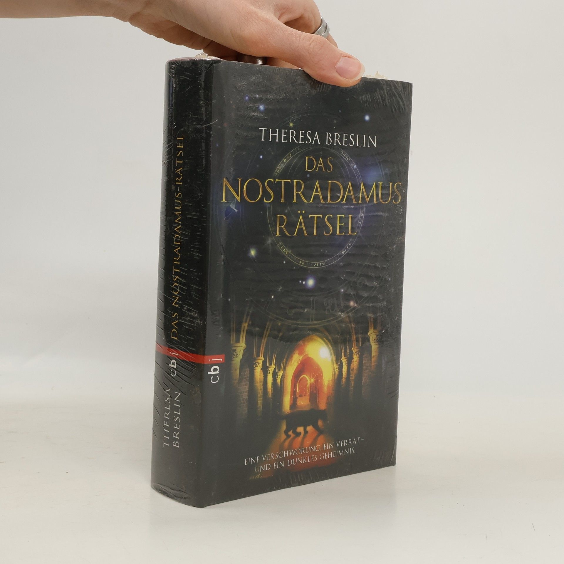 Theresa Breslin Das Nostradamus-Rätsel