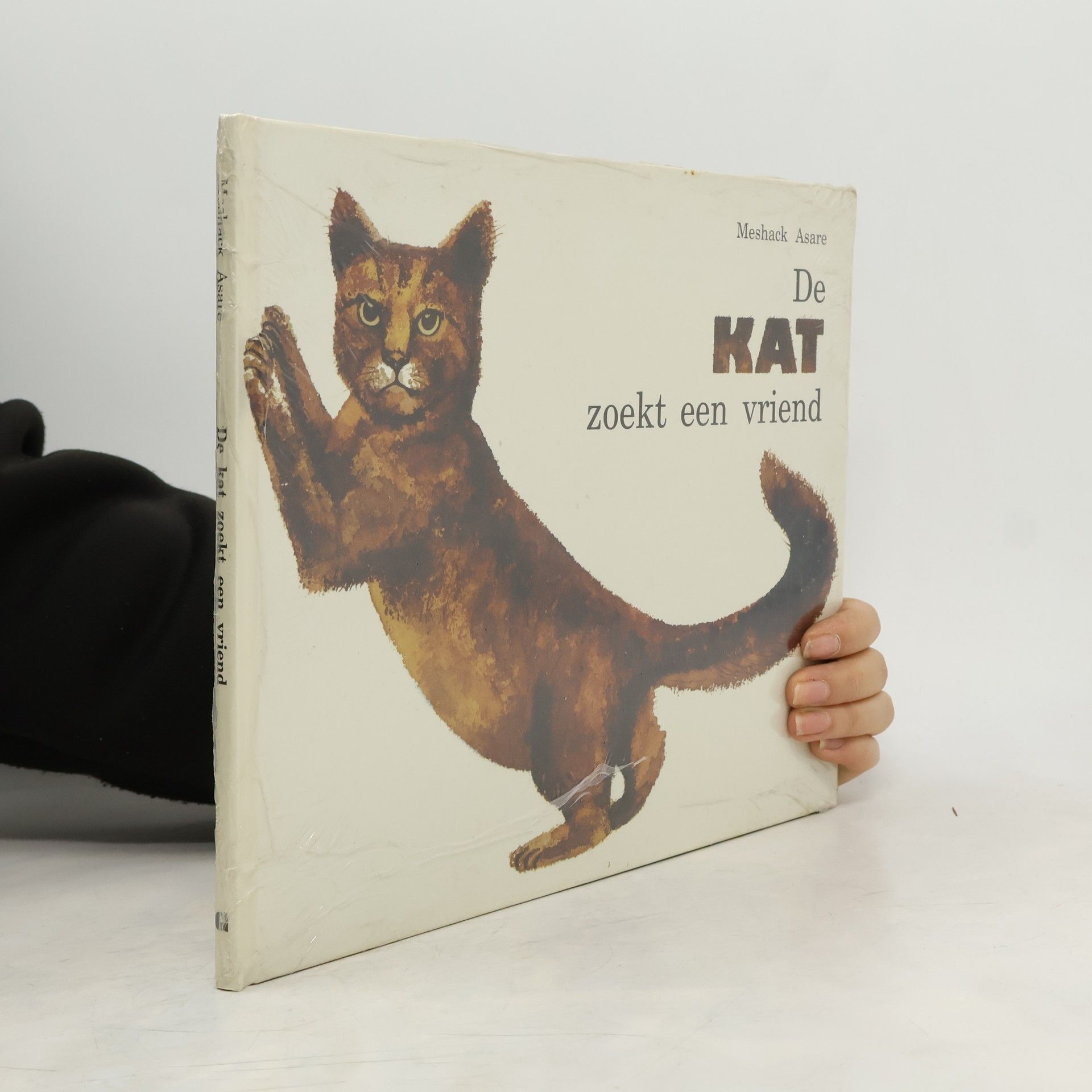 Meshaack Asare De kat zoekt een vriend
