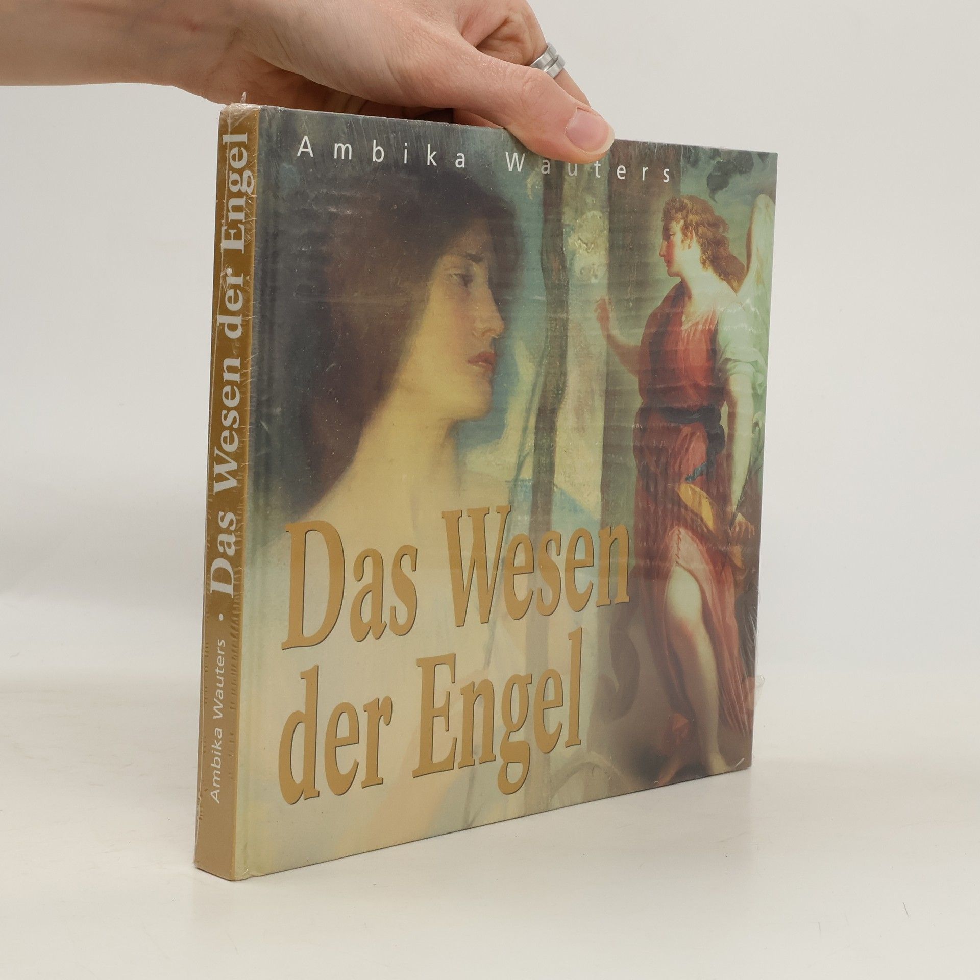 Ambika Wauters Das Wesen der Engel