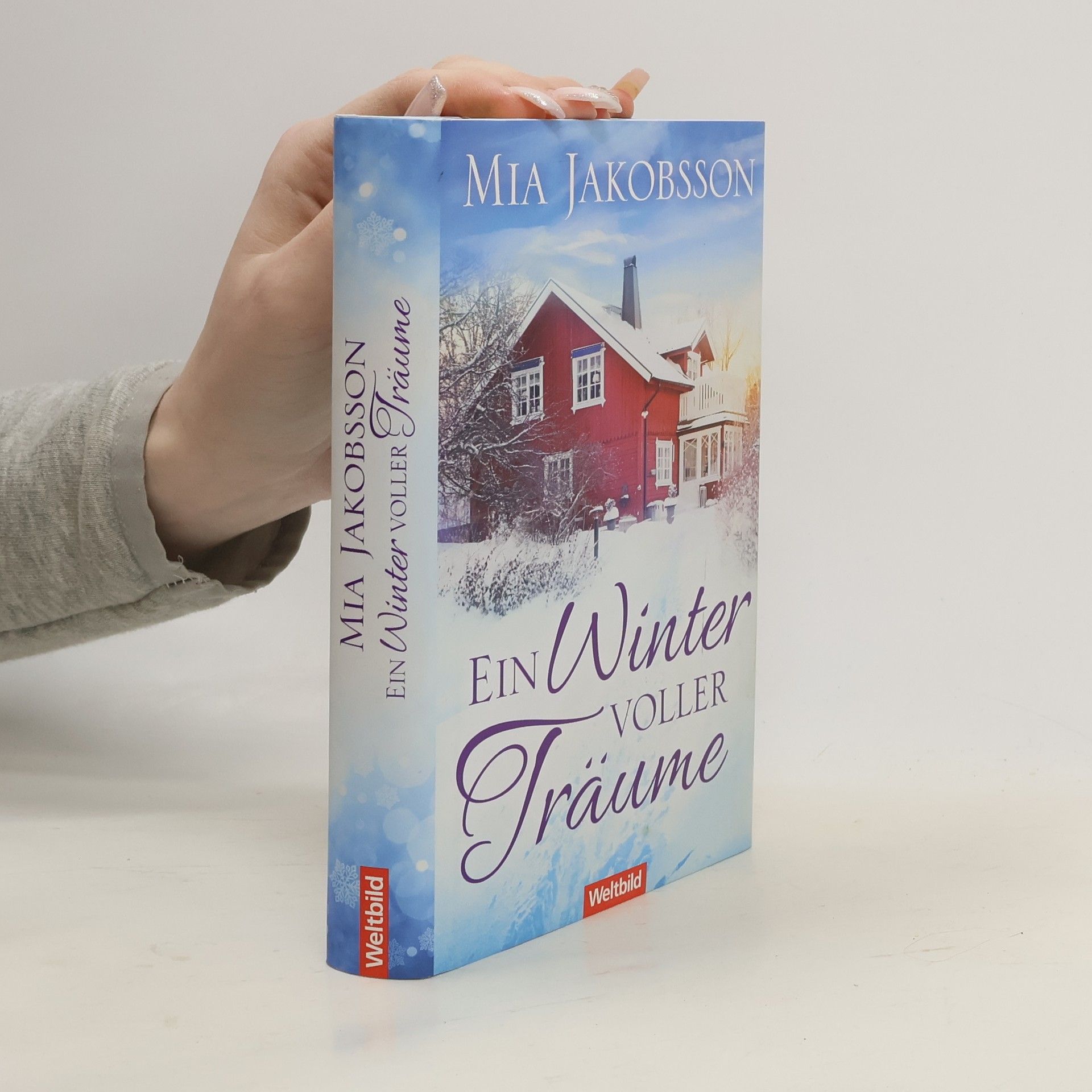 Mia Jakobsson Ein Winter voller Träume