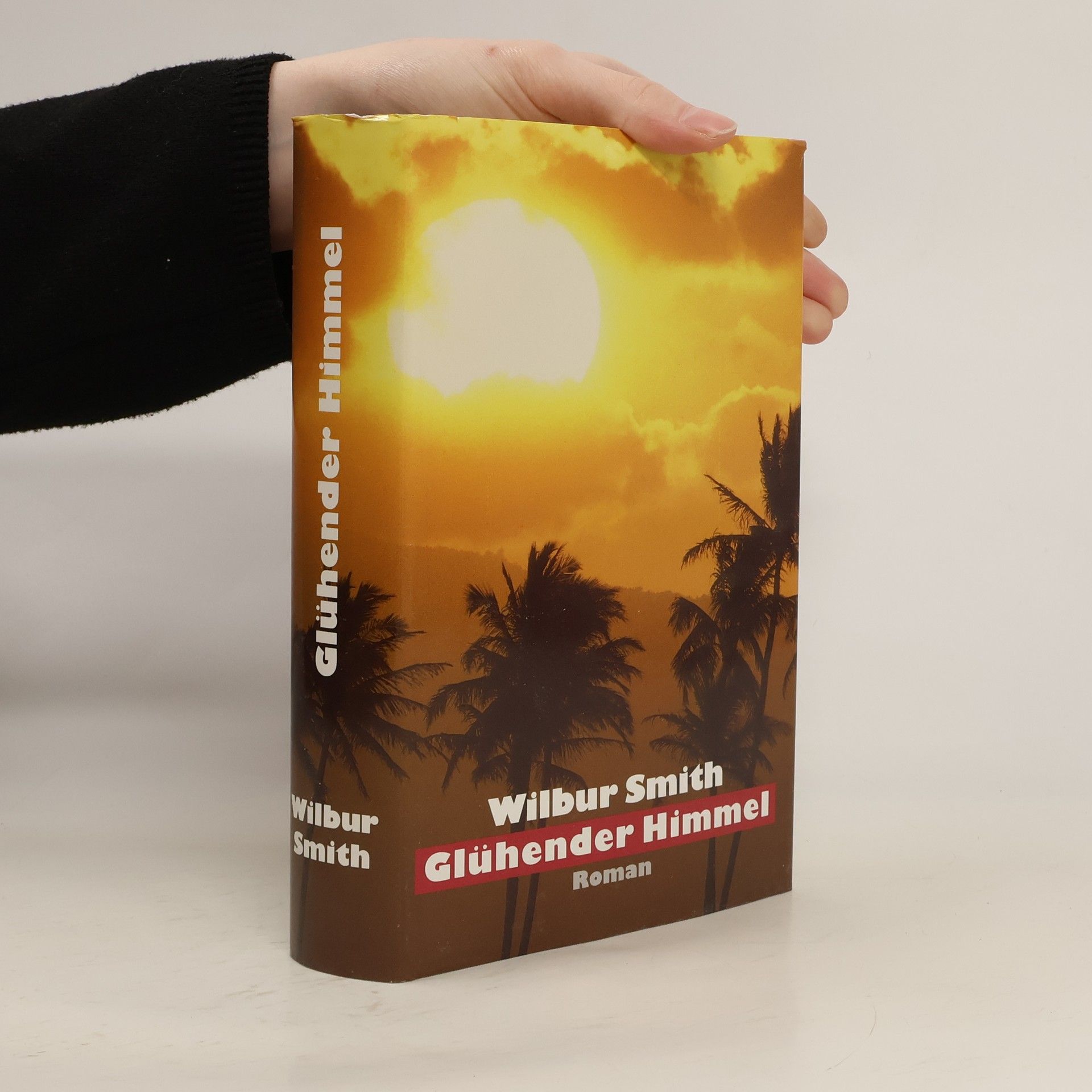 Wilbur Smith Glühender Himmel