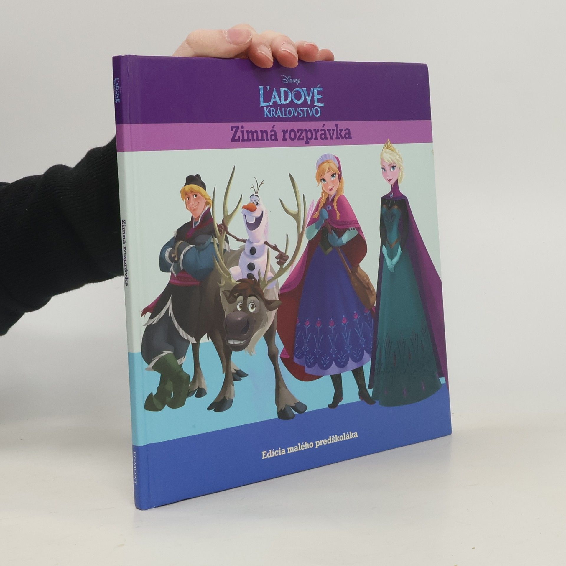 Kolektív autorov Ľadové kráľovstvo Zimná rozprávka