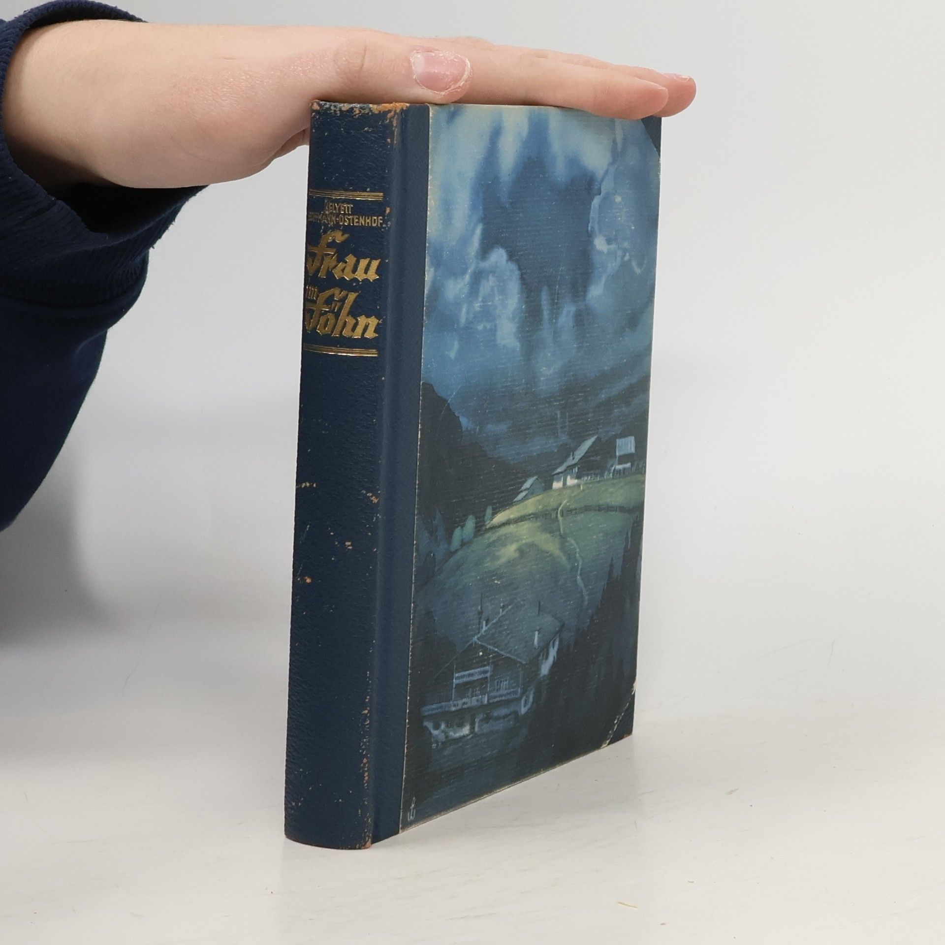 Helyett Hoffmann-Ostenhof Frau im Föhn