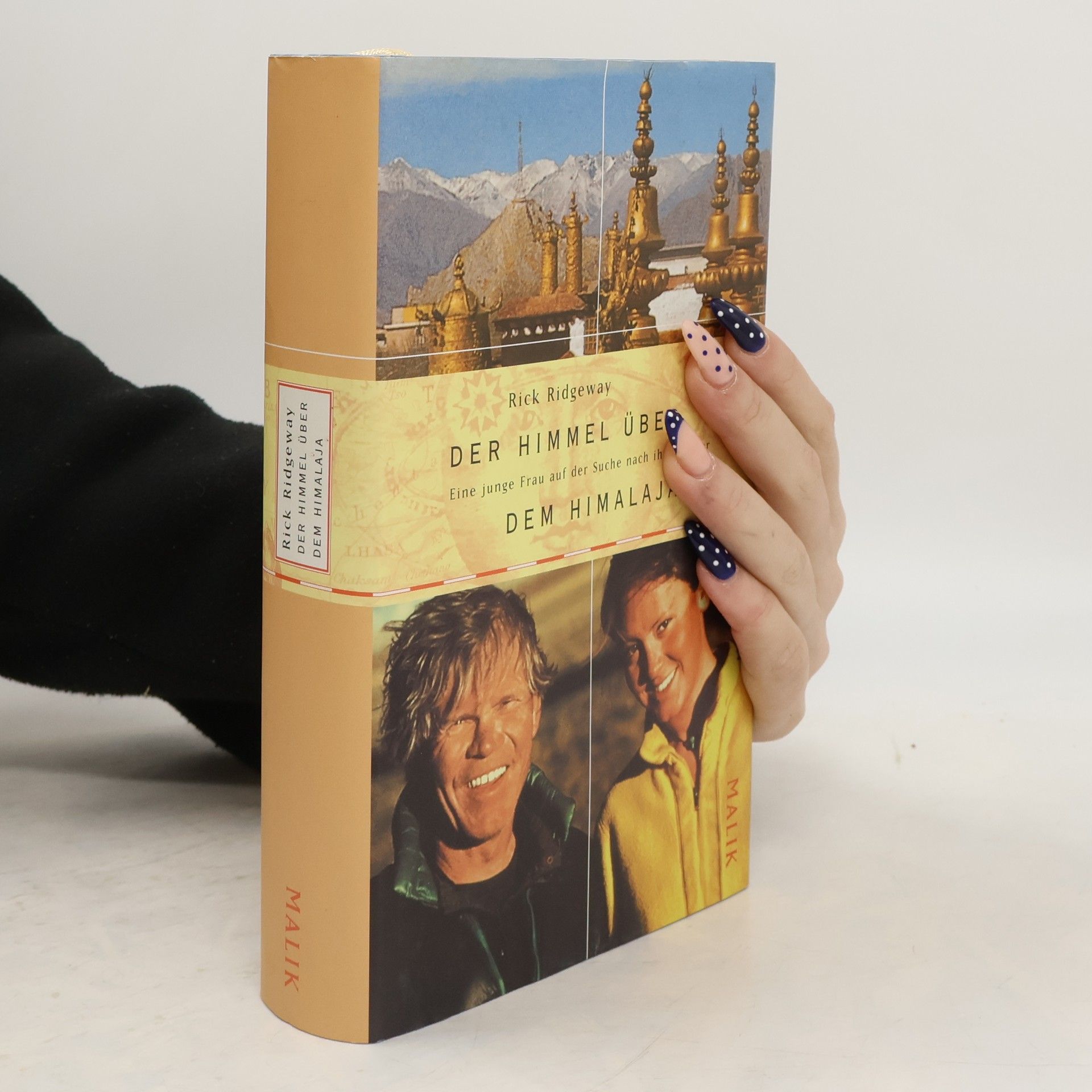 Rick Ridgeway Der Himmel über dem Himalaya