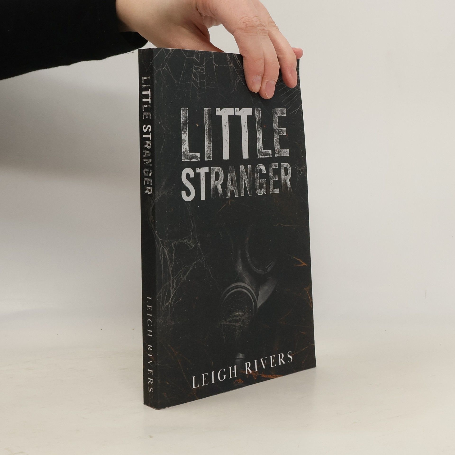Little Stranger
