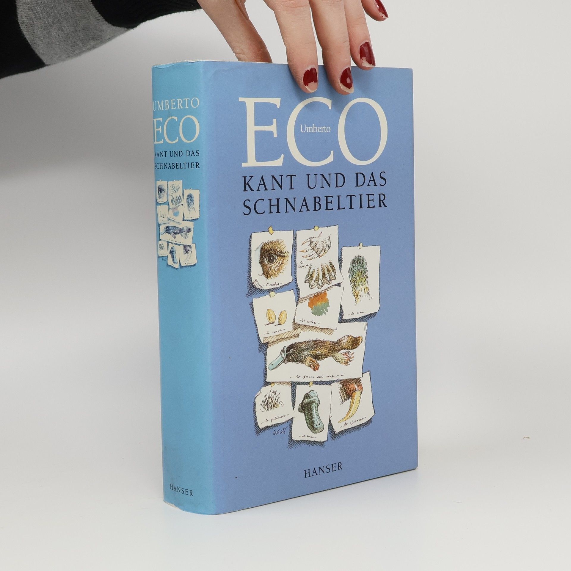 Umberto Eco Kant und das Schnabeltier