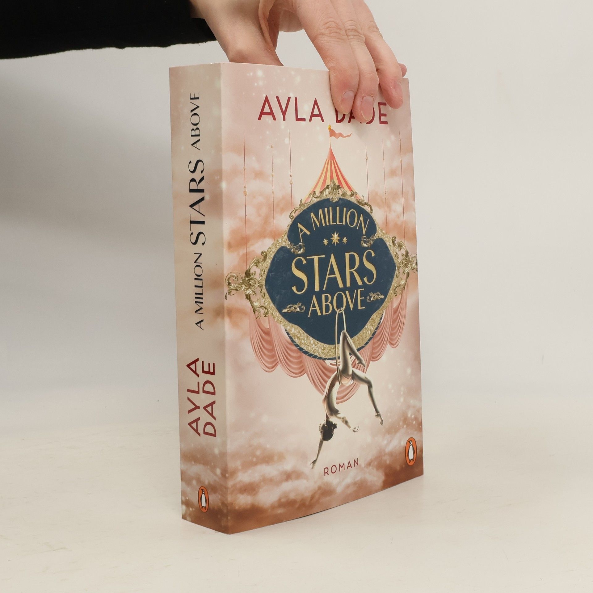 Ayla Dade A Million Stars Above / Sky Circus Bd.1