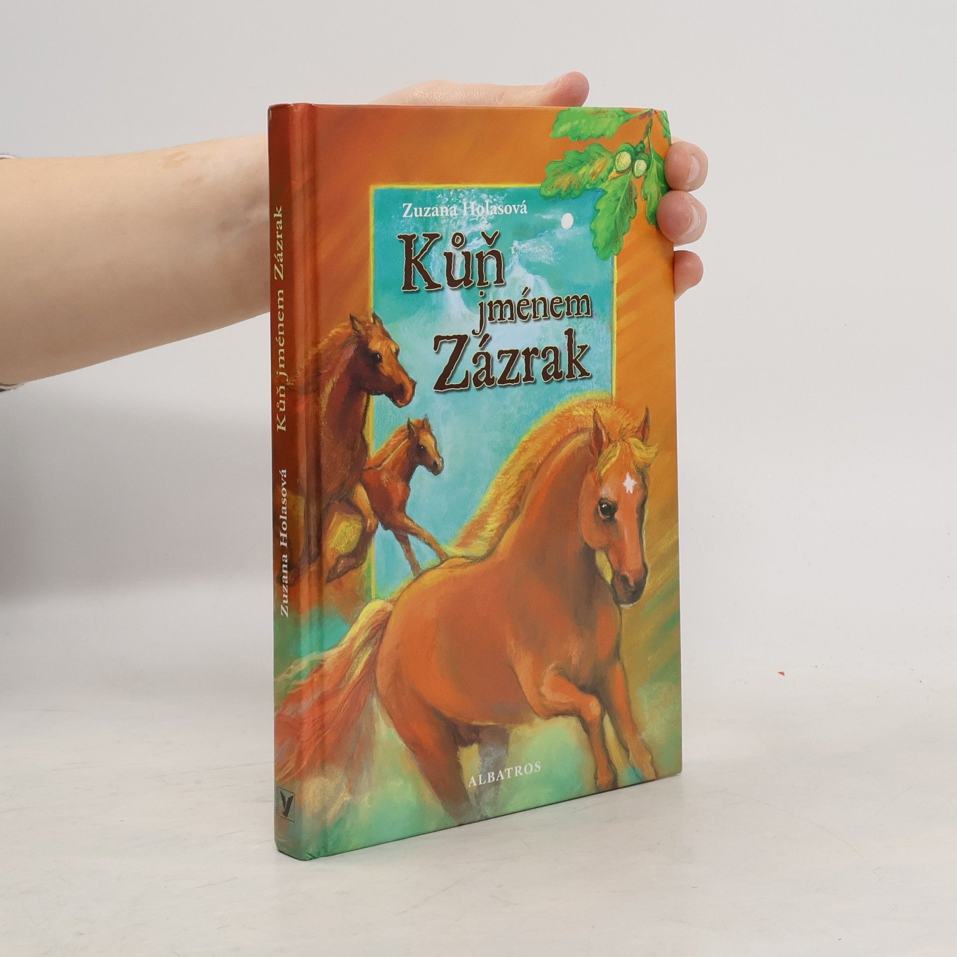 Zuzana Holasova Kůň jménem Zázrak