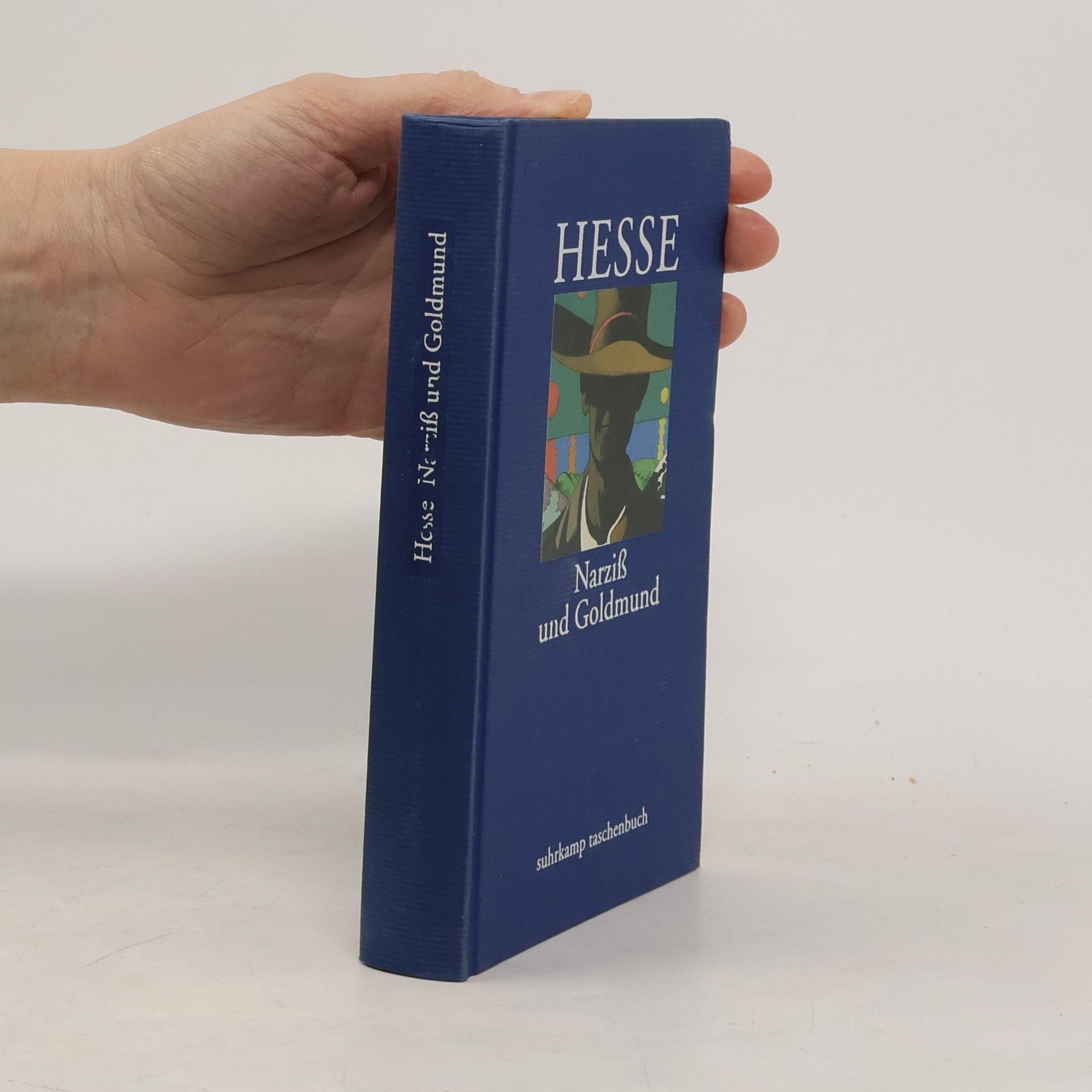 Hermann Hesse Suhrkamp Taschenbuch: Narziss und Goldmund