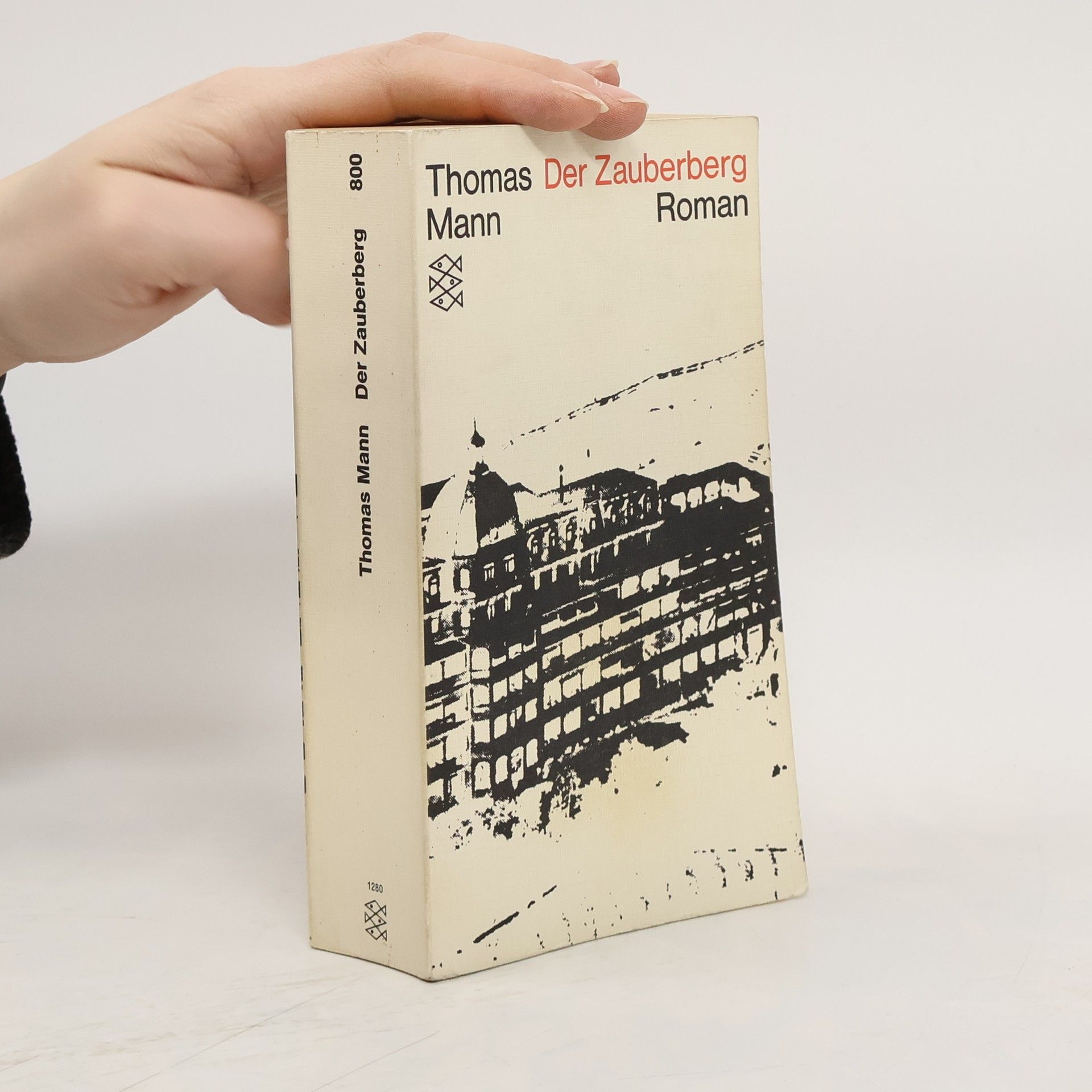 Thomas Mann Der Zauberberg