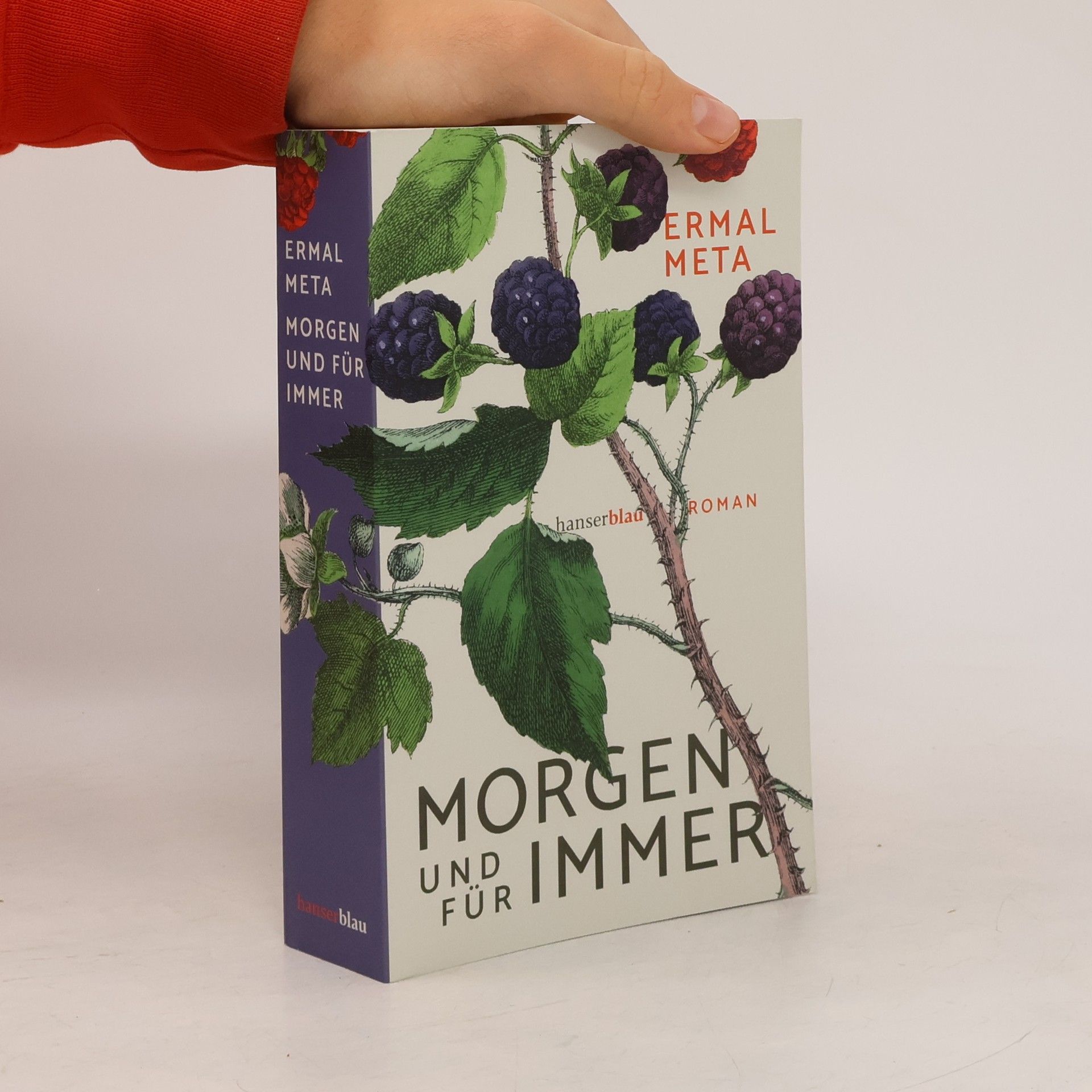 Ermal Meta Morgen und für immer