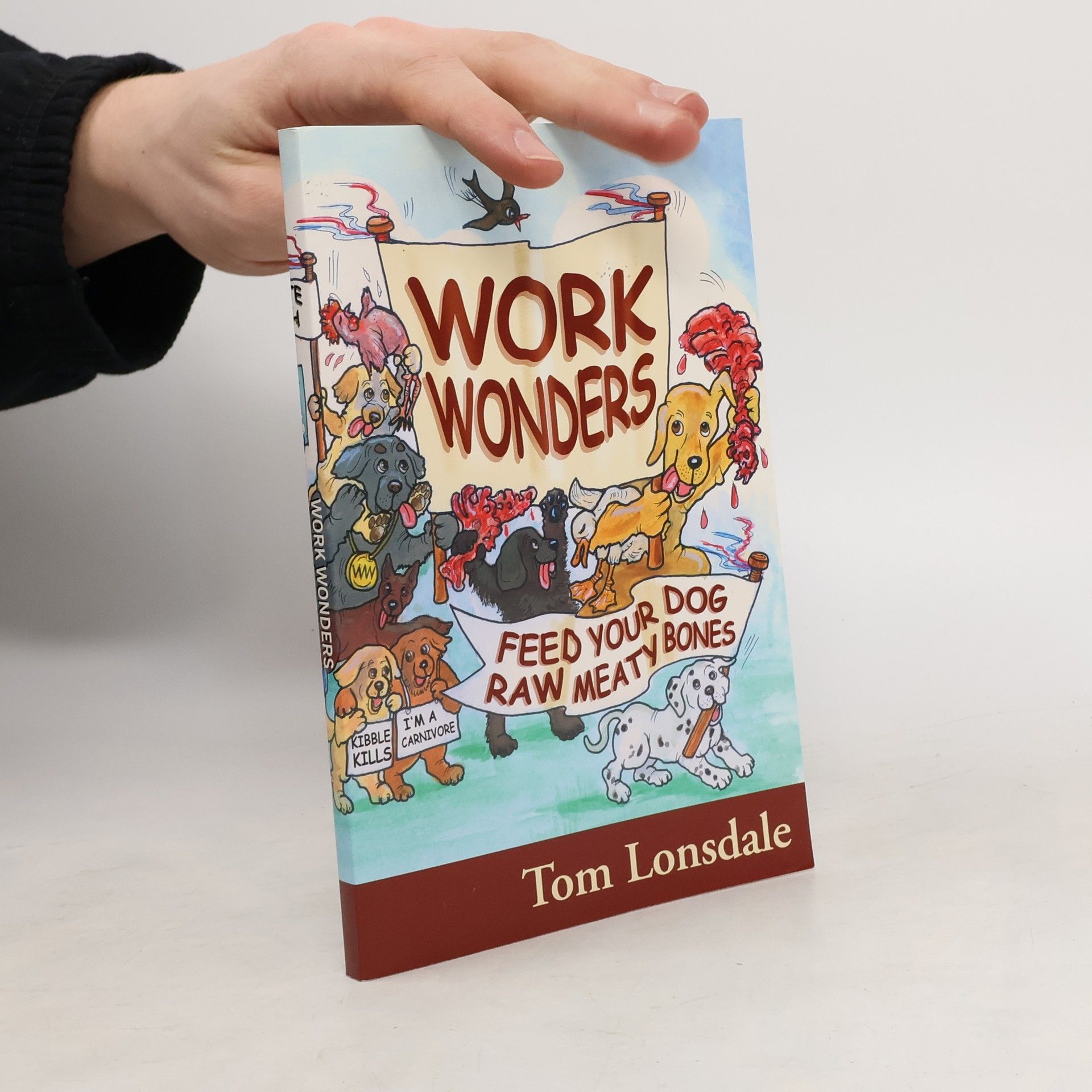 Tom Lonsdale Work Wonders