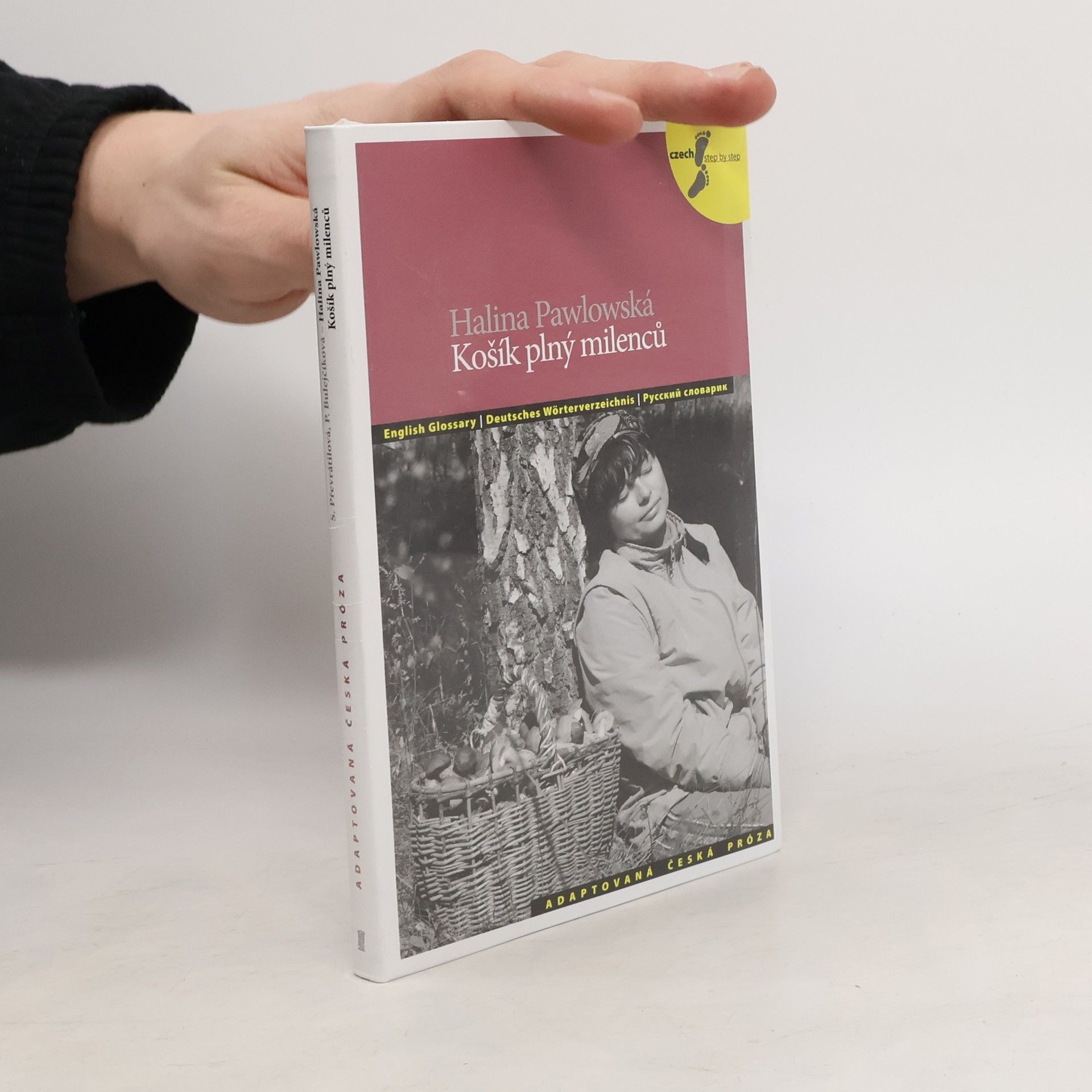 Košík plný milenců a jiné povídky