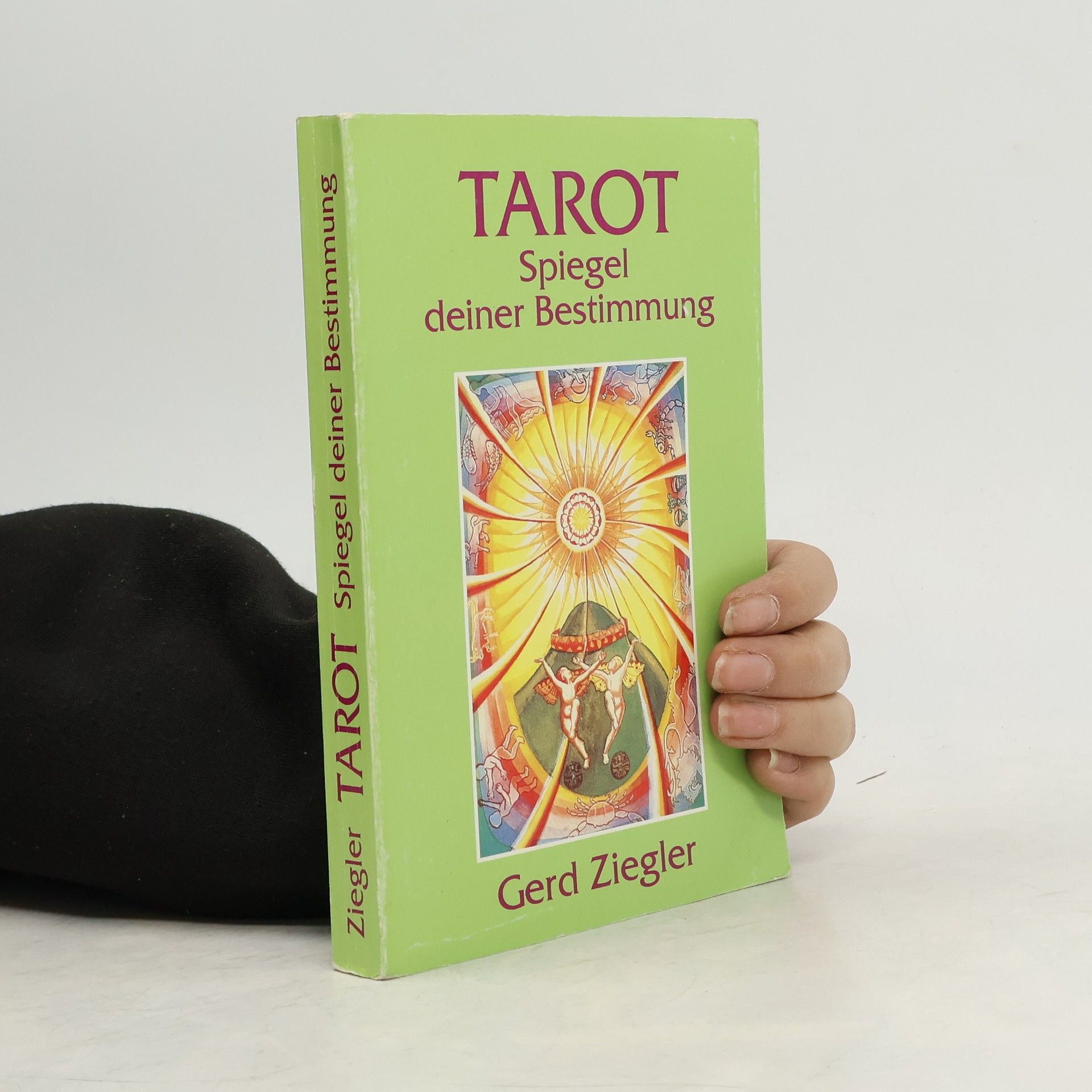 Gerd Ziegler Tarot. Spiegel deiner Bestimmung
