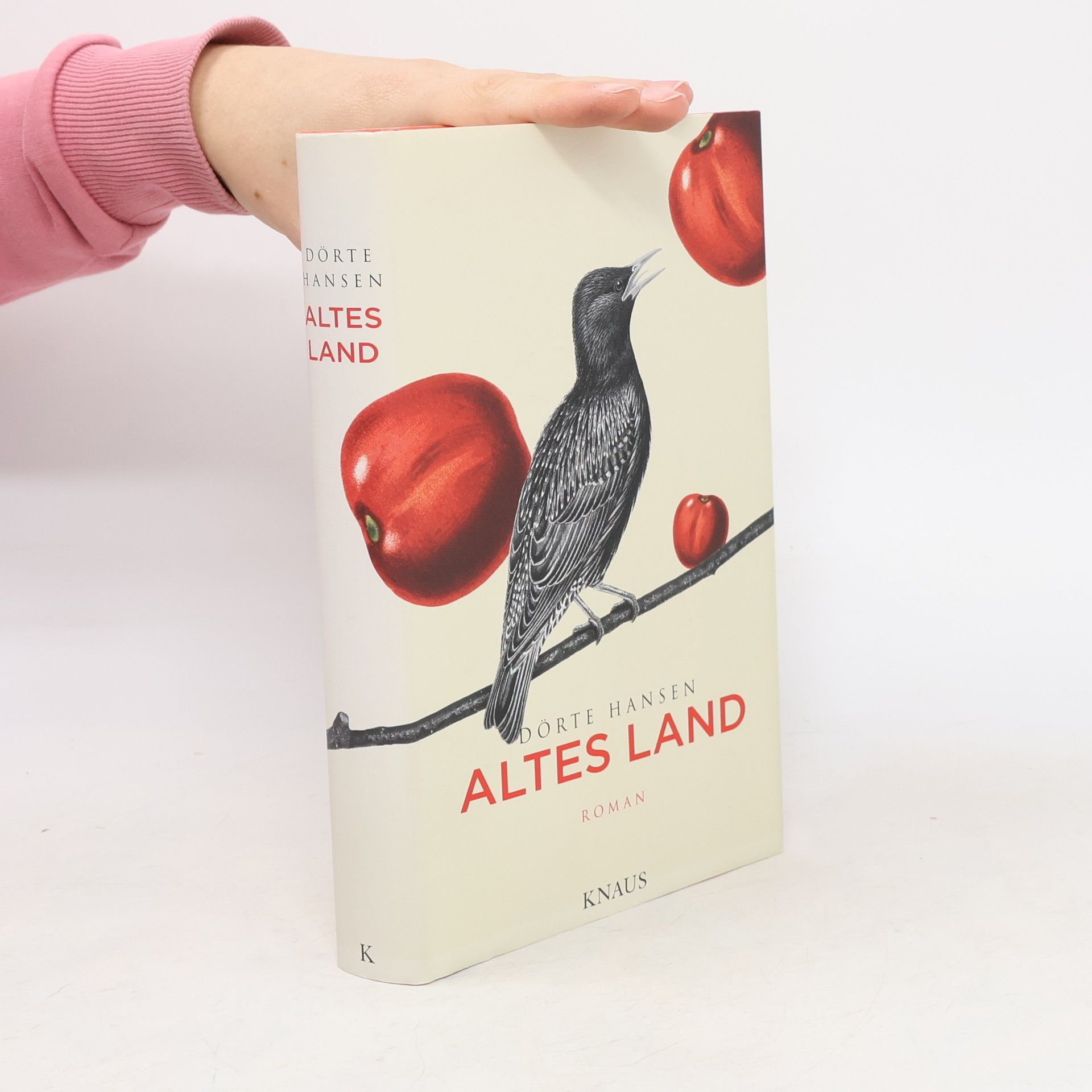 Dörte Hansen Altes Land