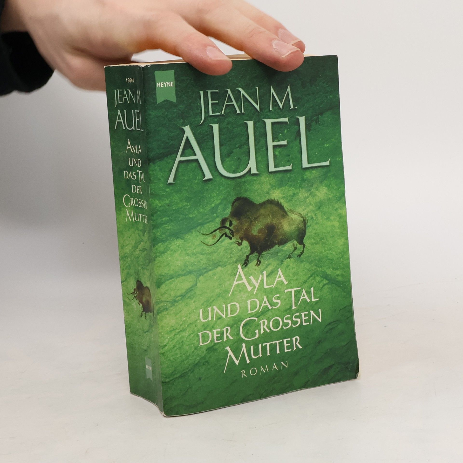 Jean M. Jean Marie Auel Ayla und das Tal der Grossen Mutter