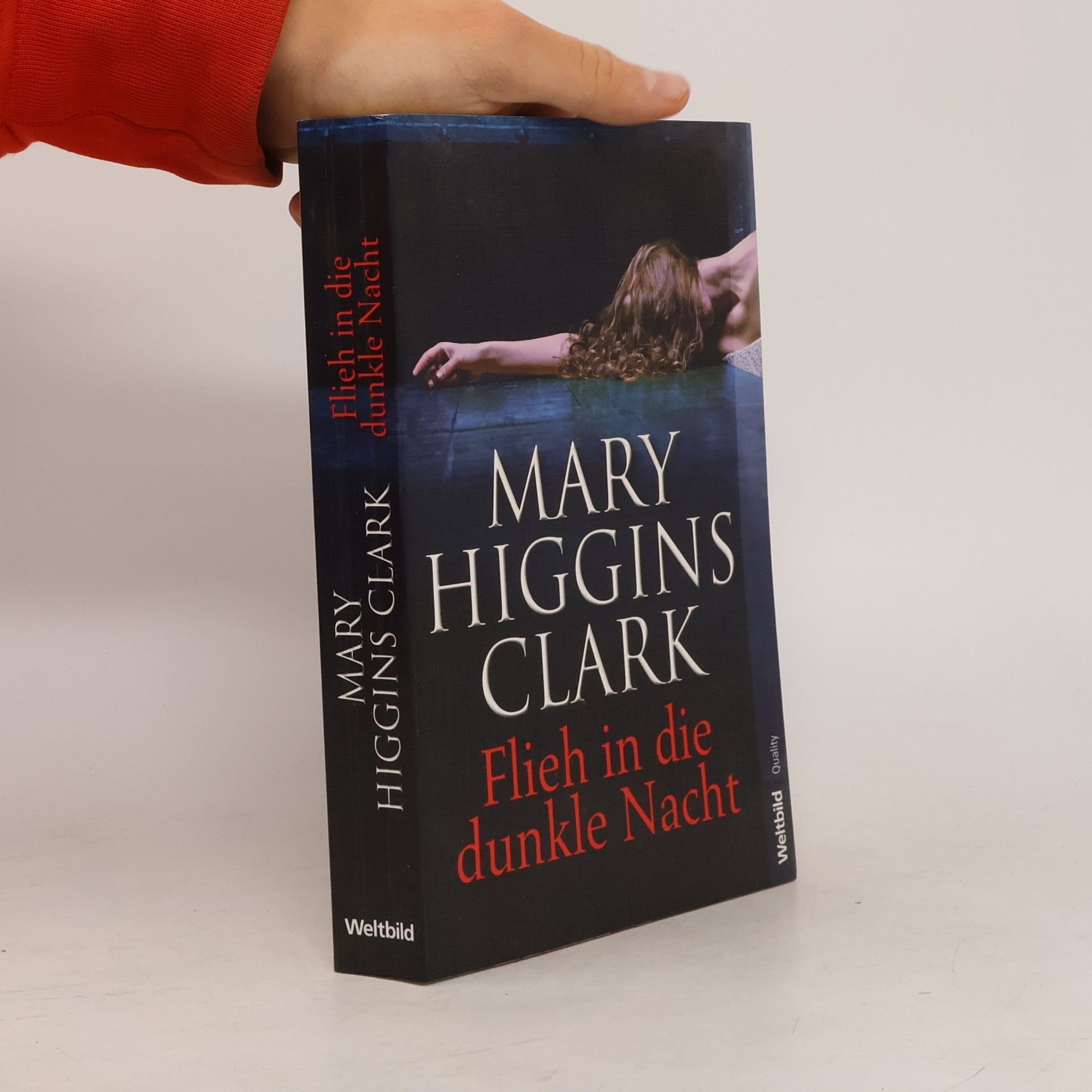 Mary Higgins Clark Flieh in die dunkle Nacht