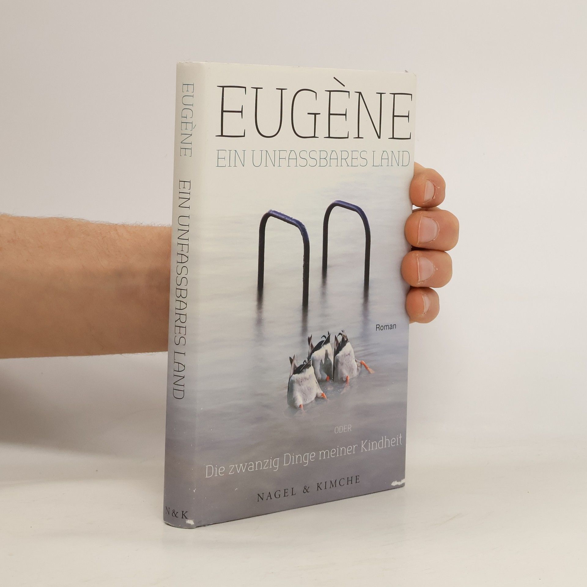 Eugène Ein unfassbares Land