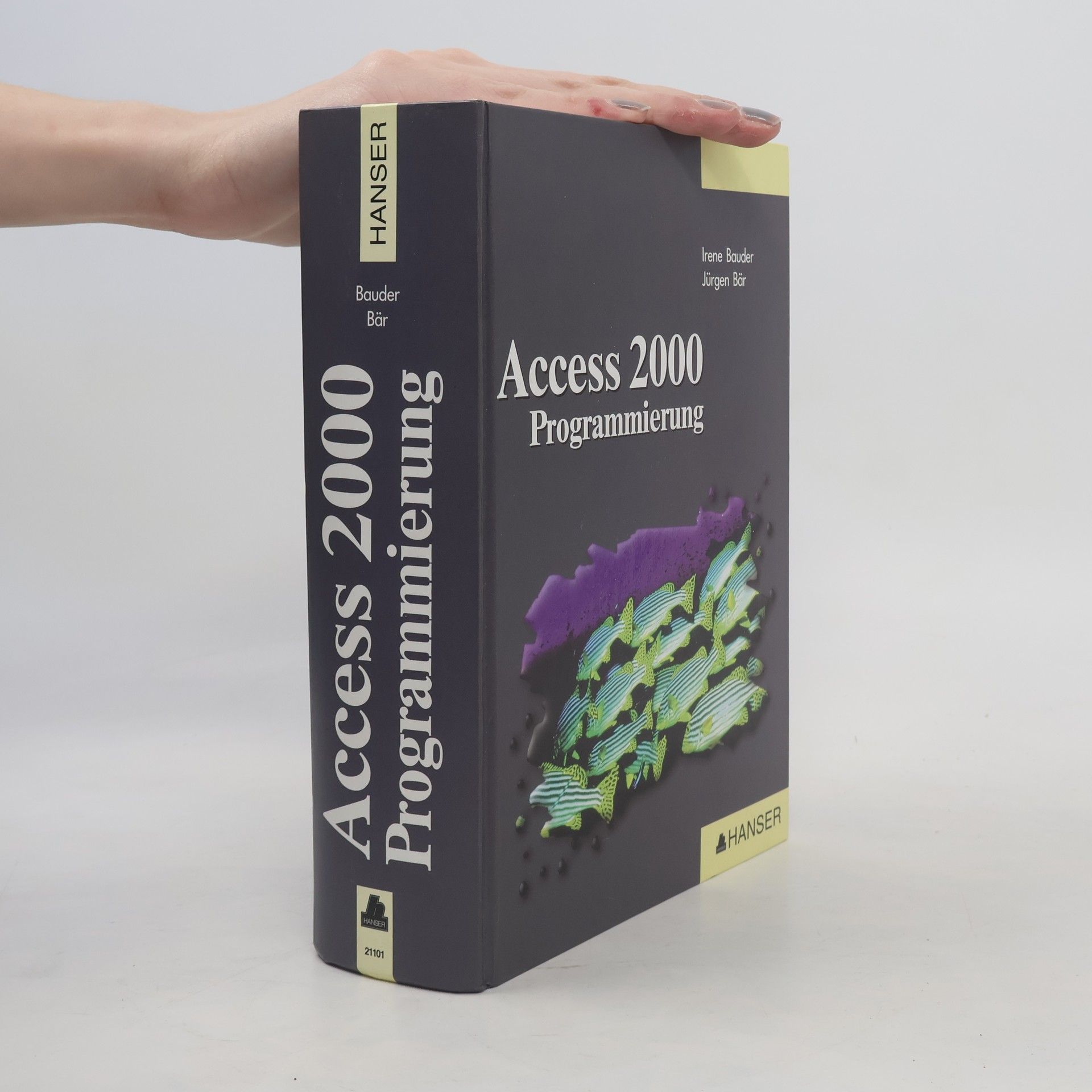Access 2000 Programmierung