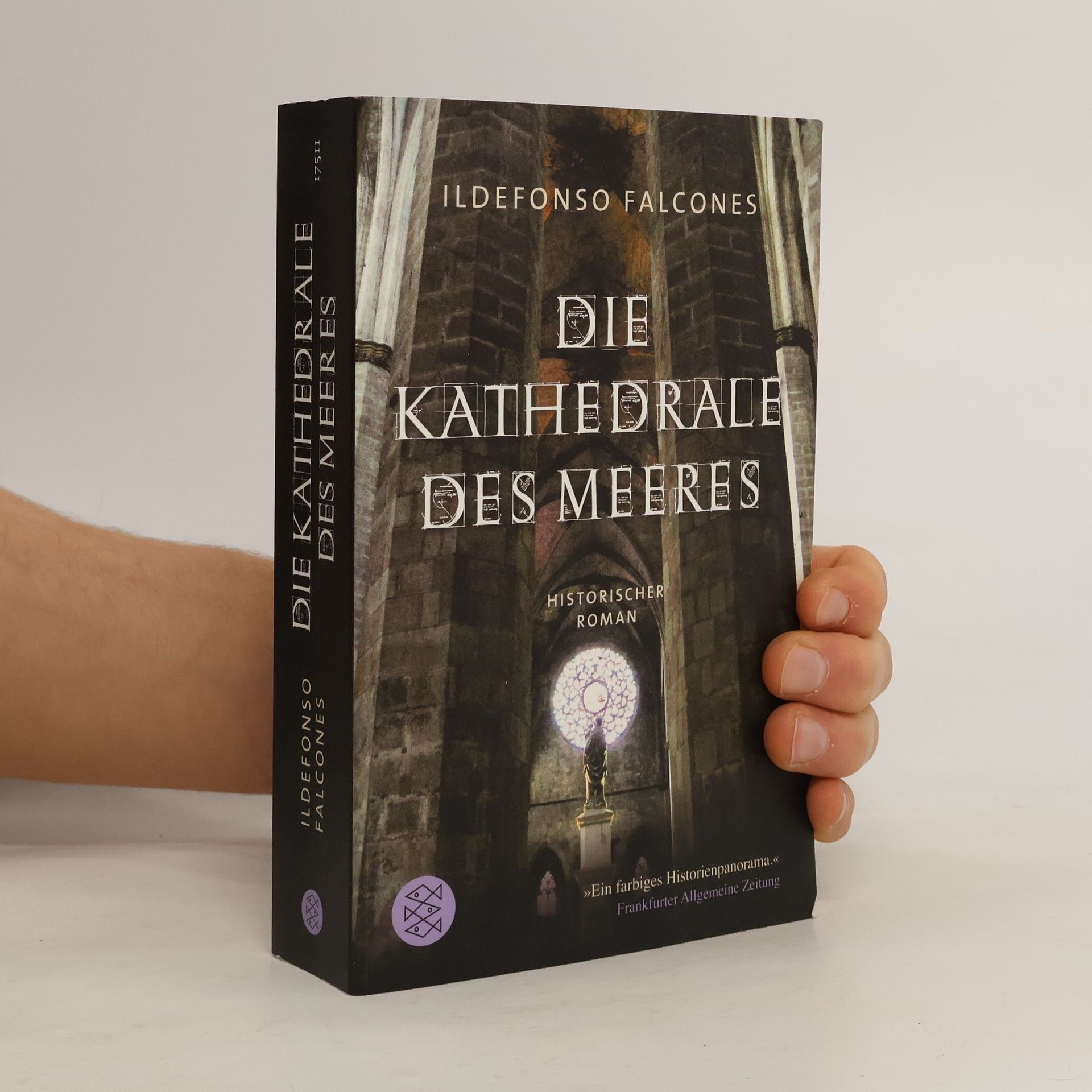 Ildefonso Falcones Die Kathedrale des Meeres