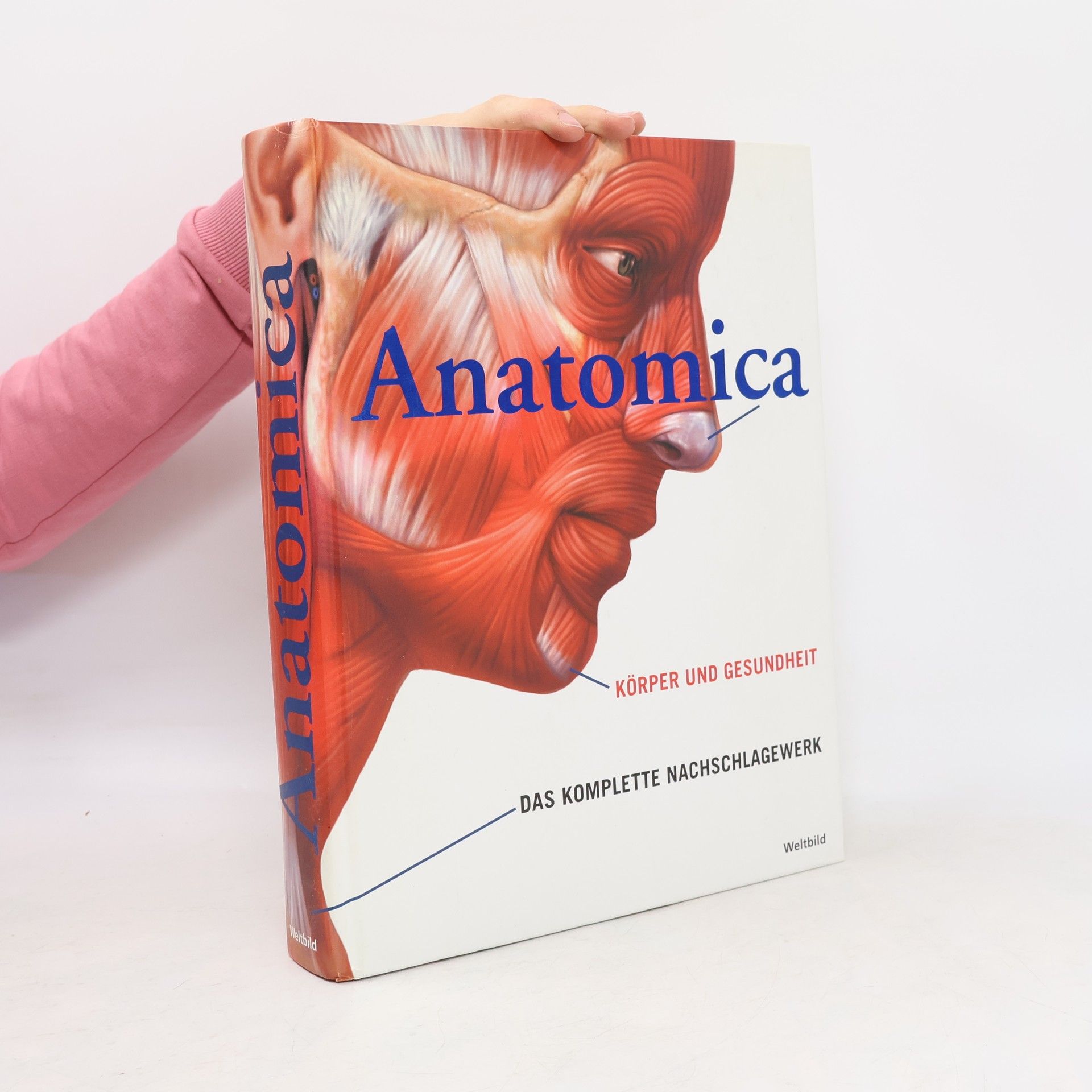 Gordon Cheers Anatomica