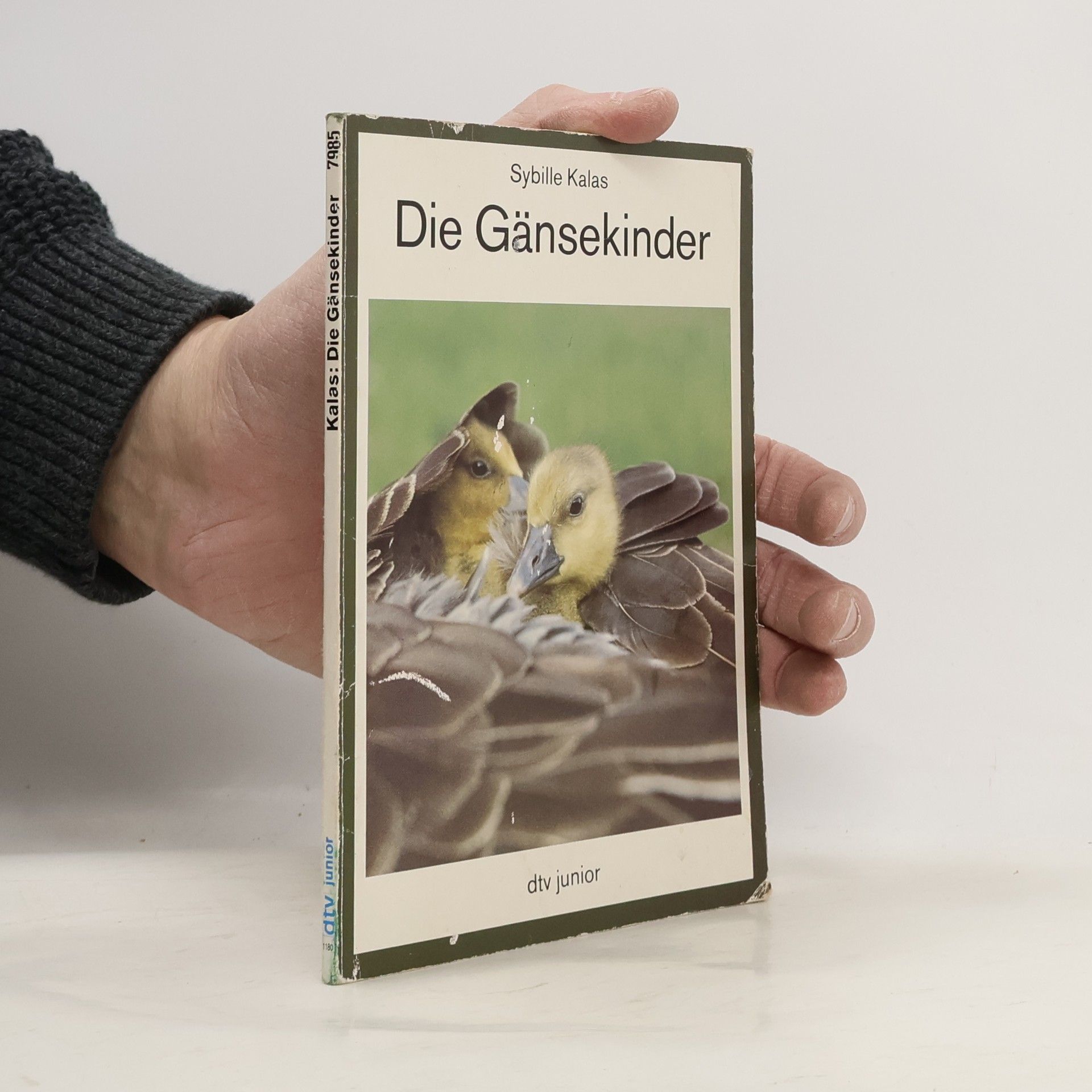Sybille Kalas Das Gänse-Kinder-Buch
