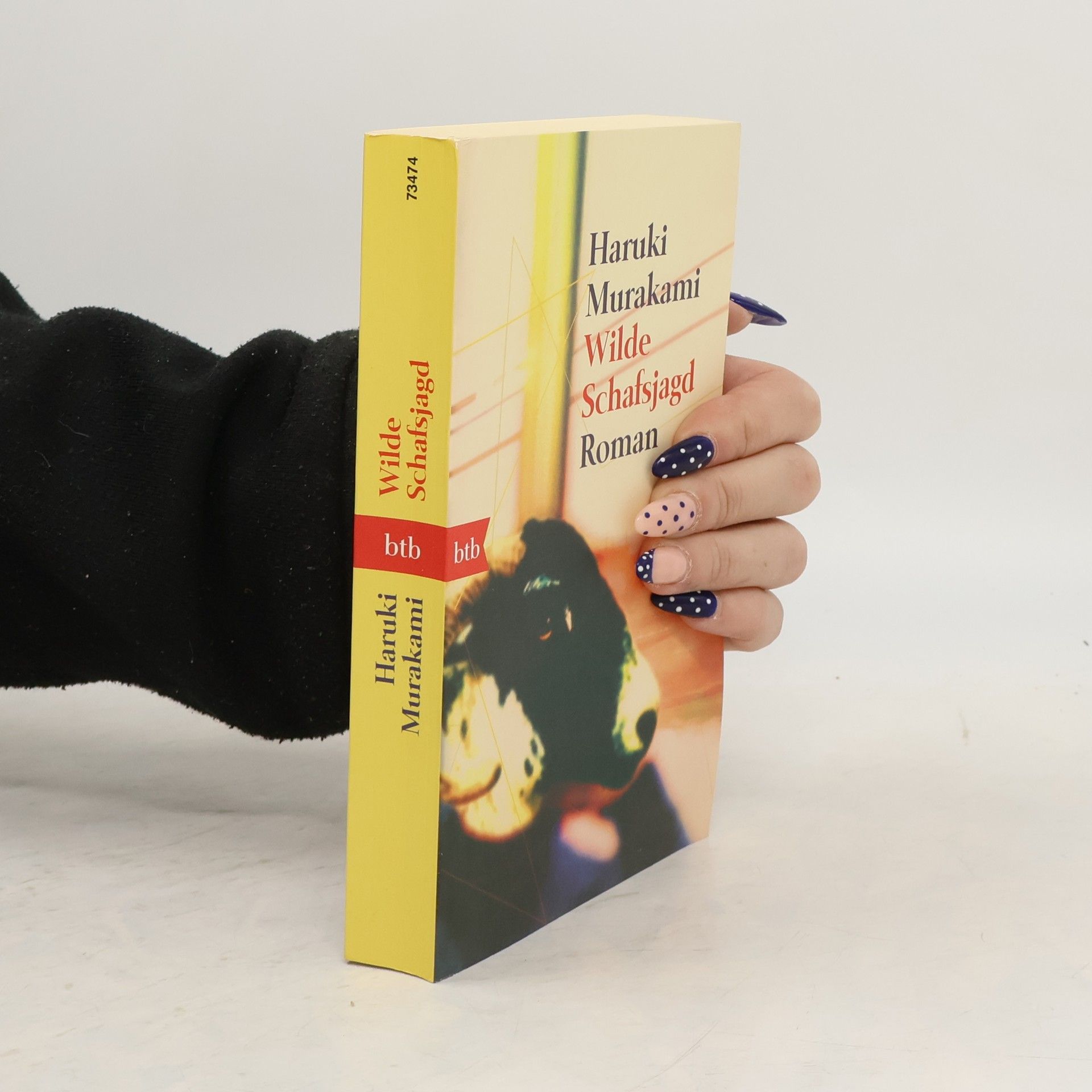 Haruki Murakami Wilde Schafsjagd