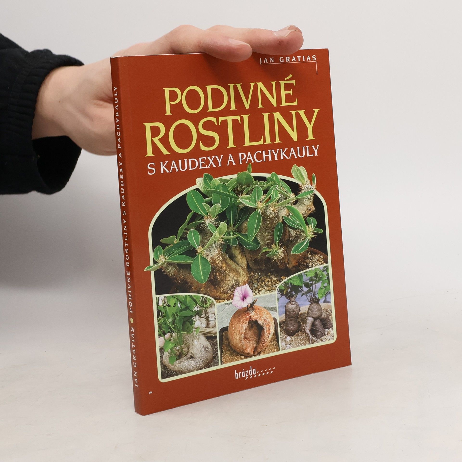 Jan Gratias Podivné rostliny s kaudexy a pachykauly