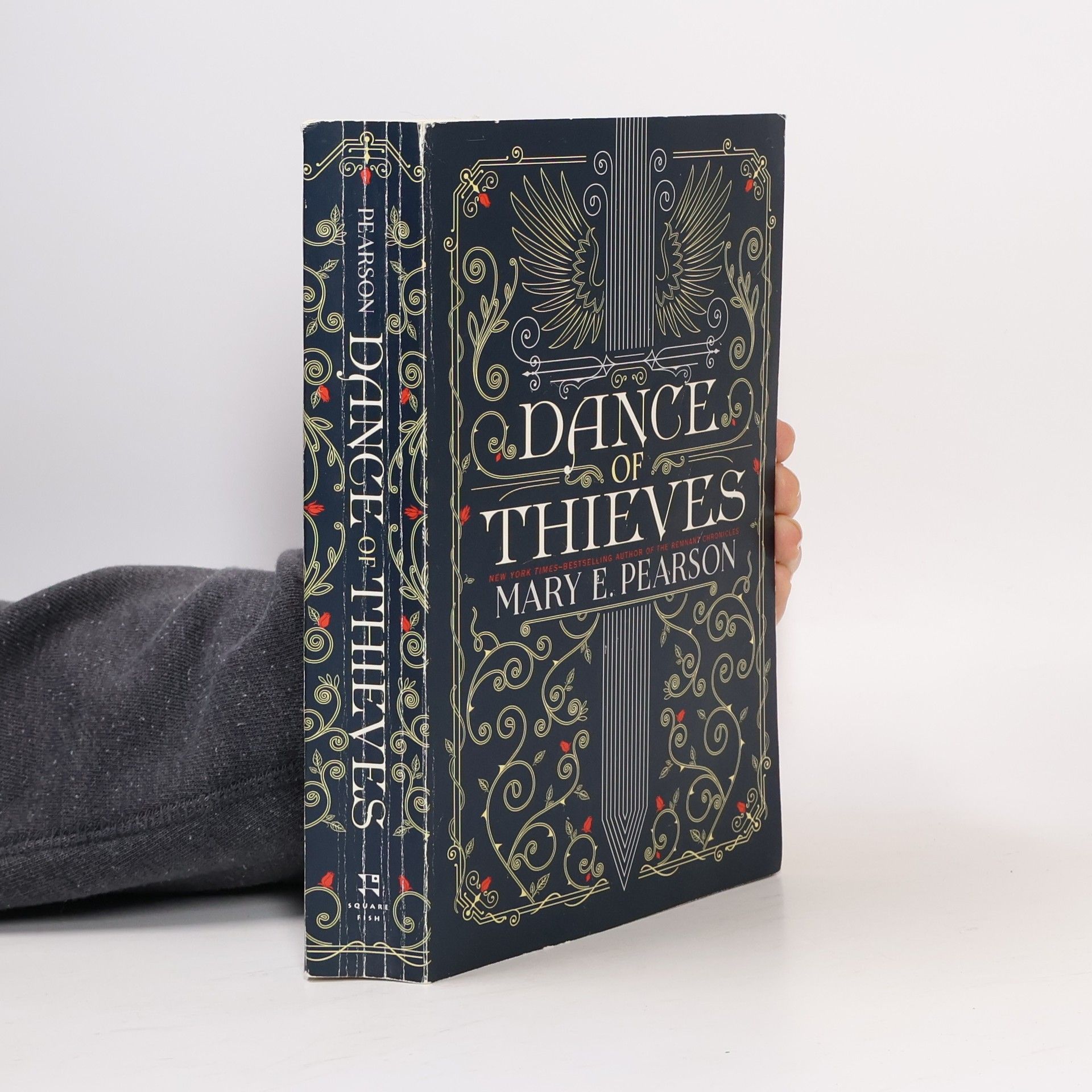 Mary E. Pearsonová Dance of Thieves