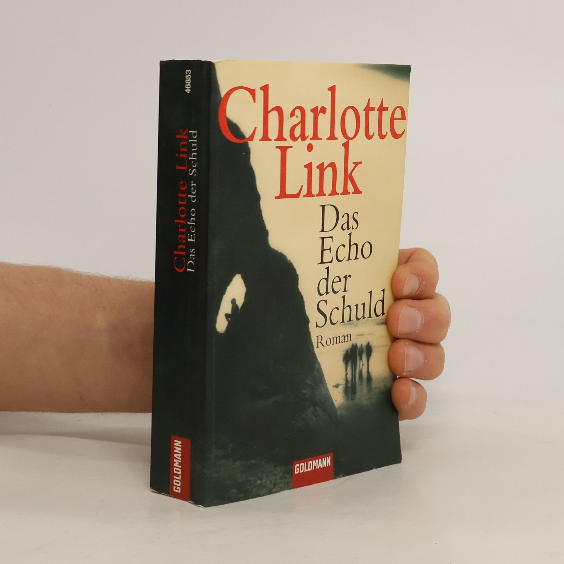 Charlotte Link Das Echo der Schuld