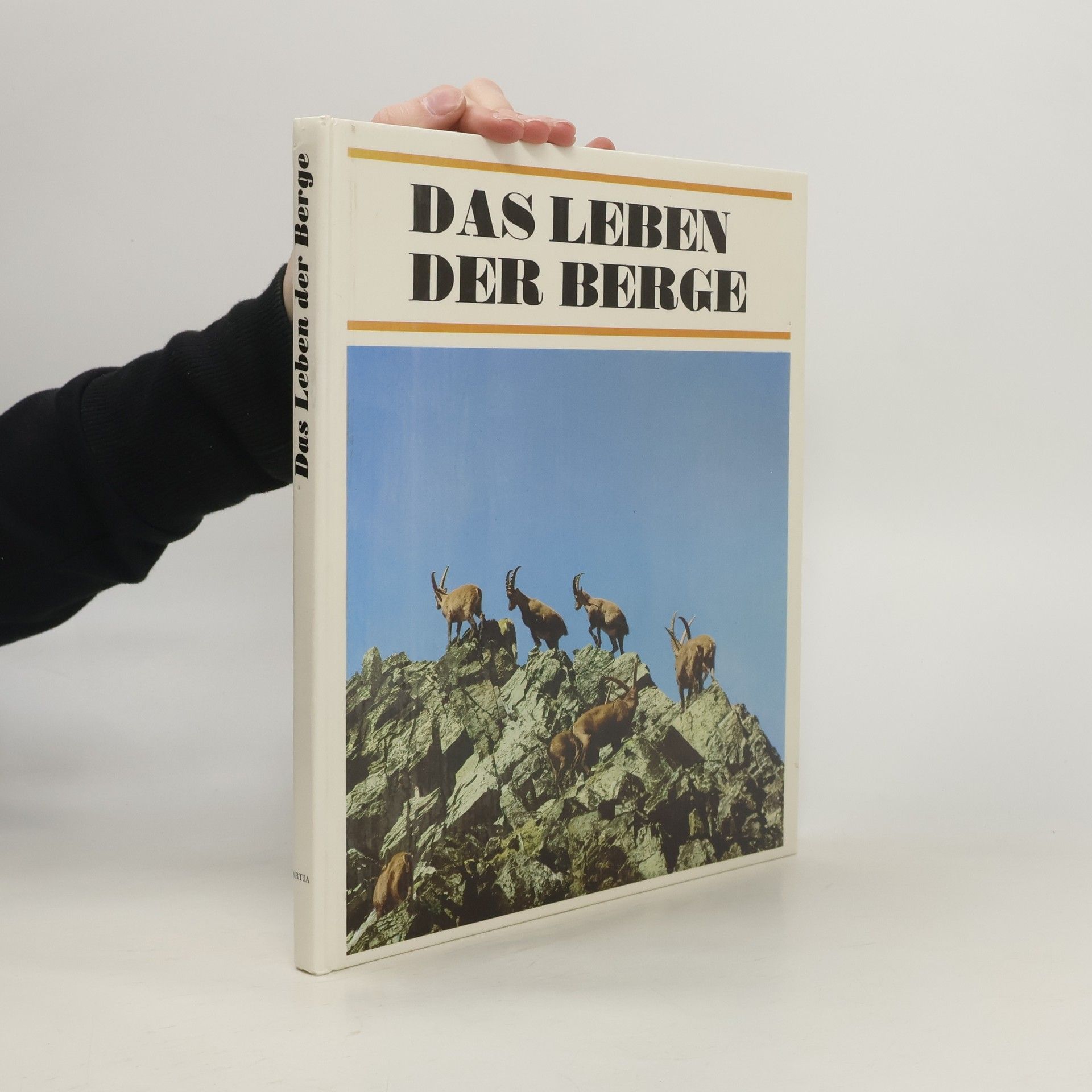 Jan Jeník Das Leben der Berge