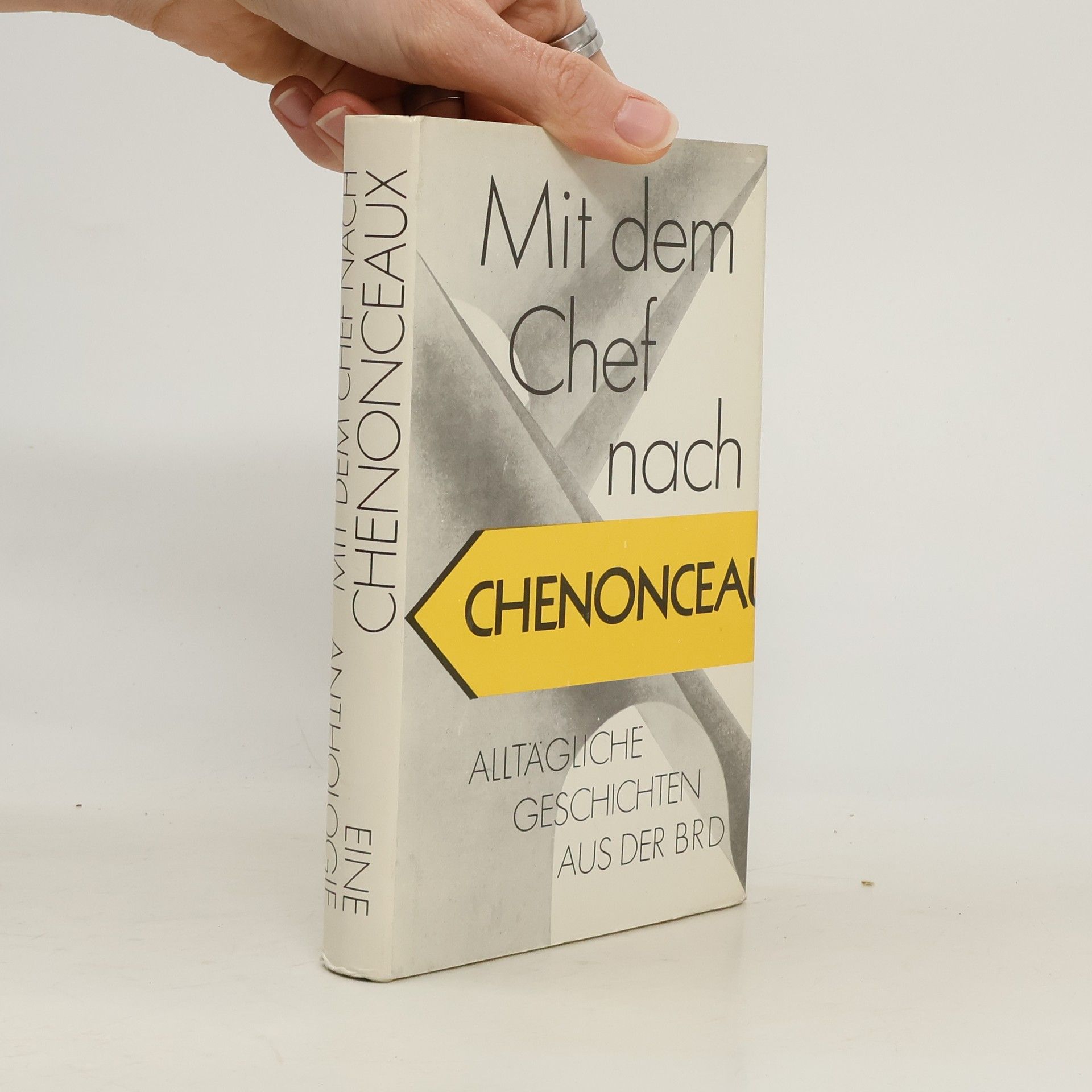 Annie Voigtländer Mit dem Chef nach Chenonceaux