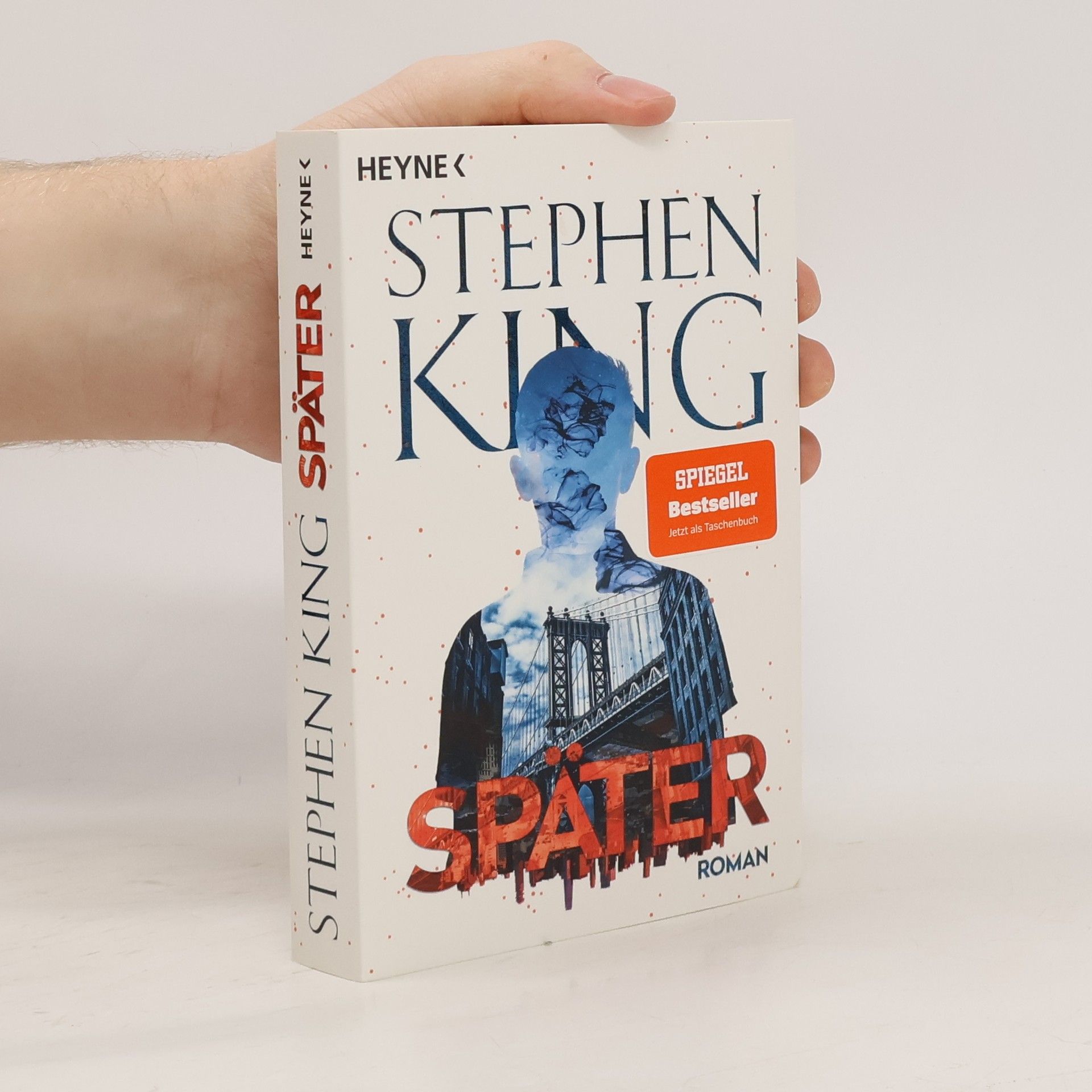 Stephen King Später