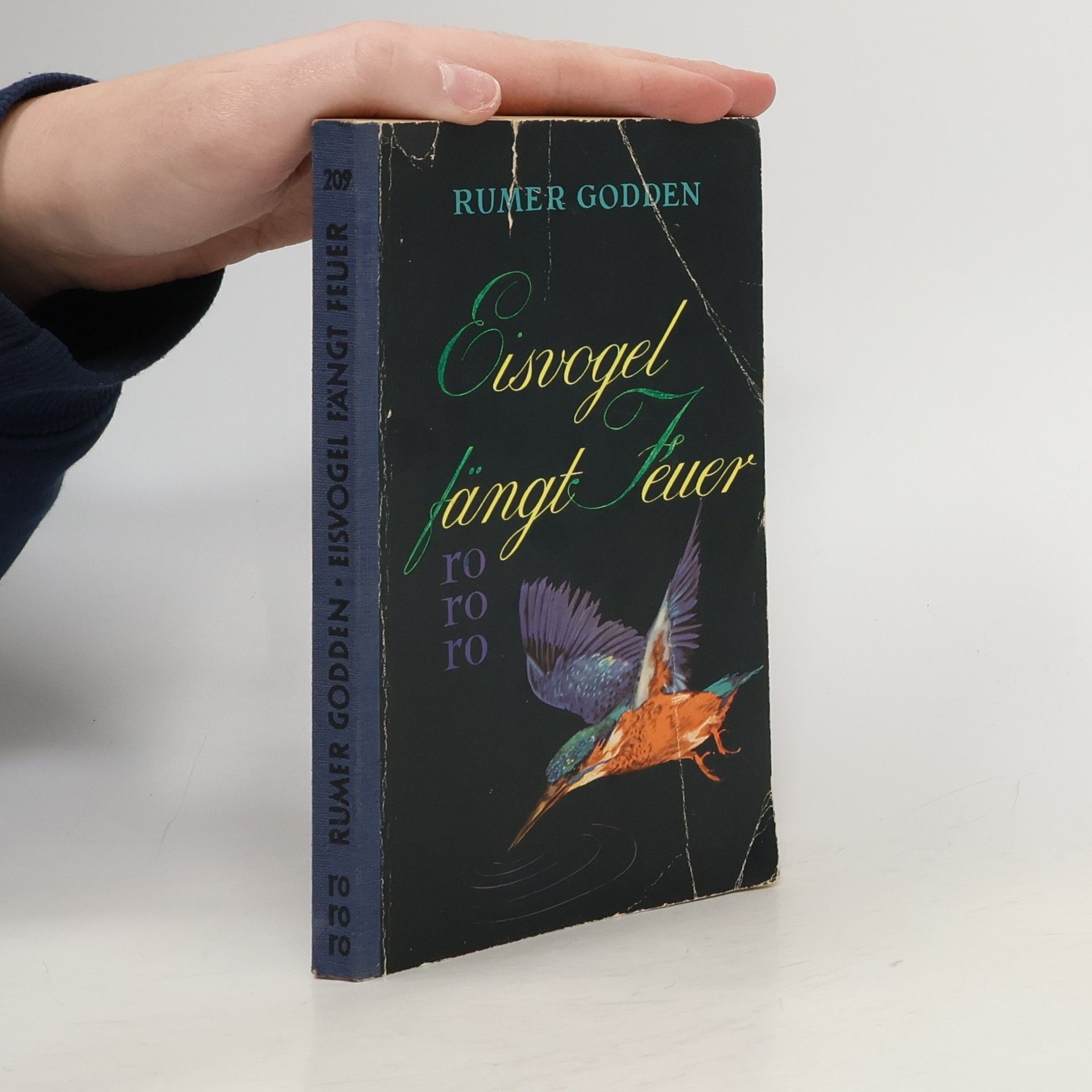 Rumer Godden Eisvogel fängt Feuer